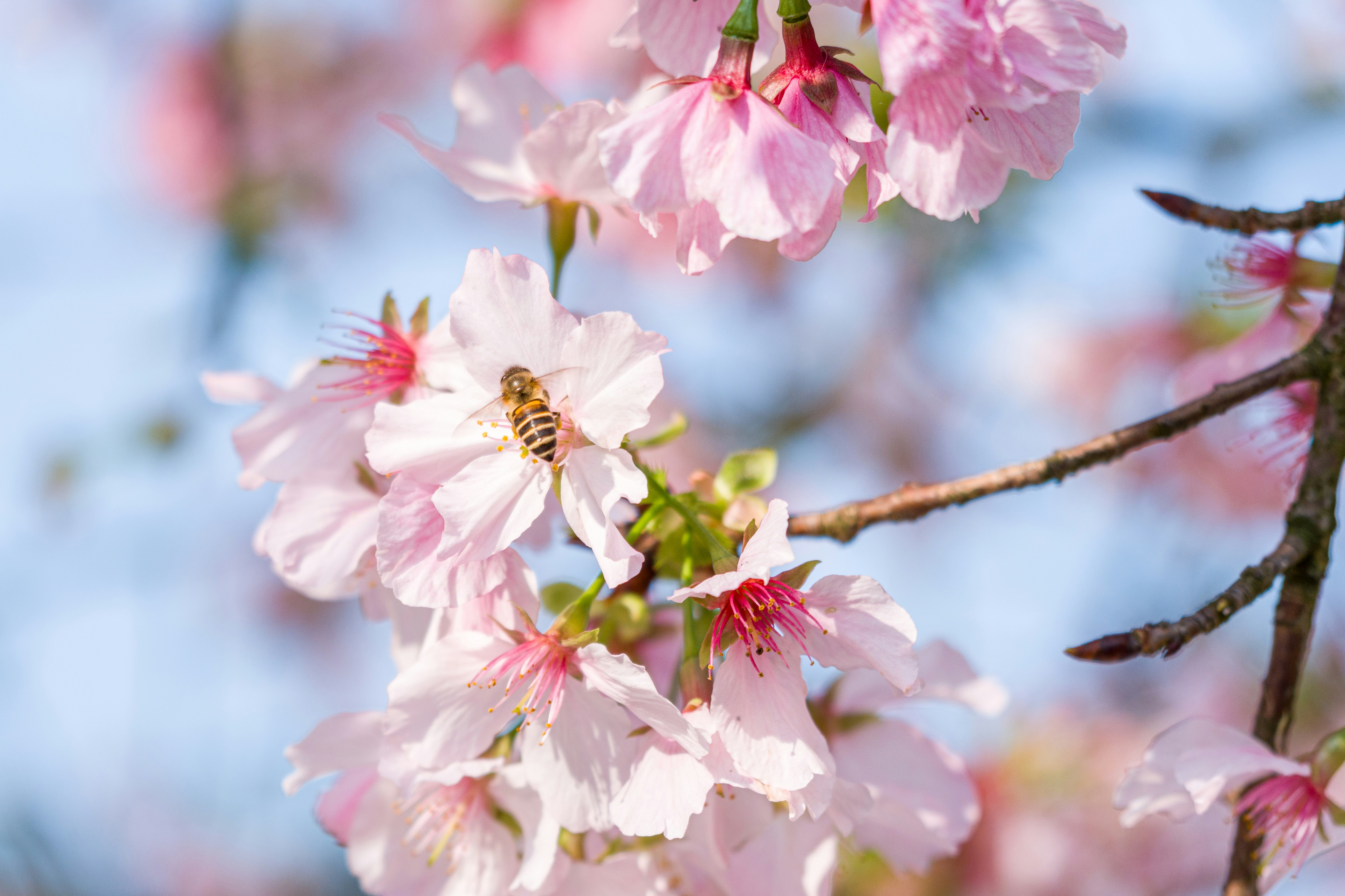 Photo by winstonchen