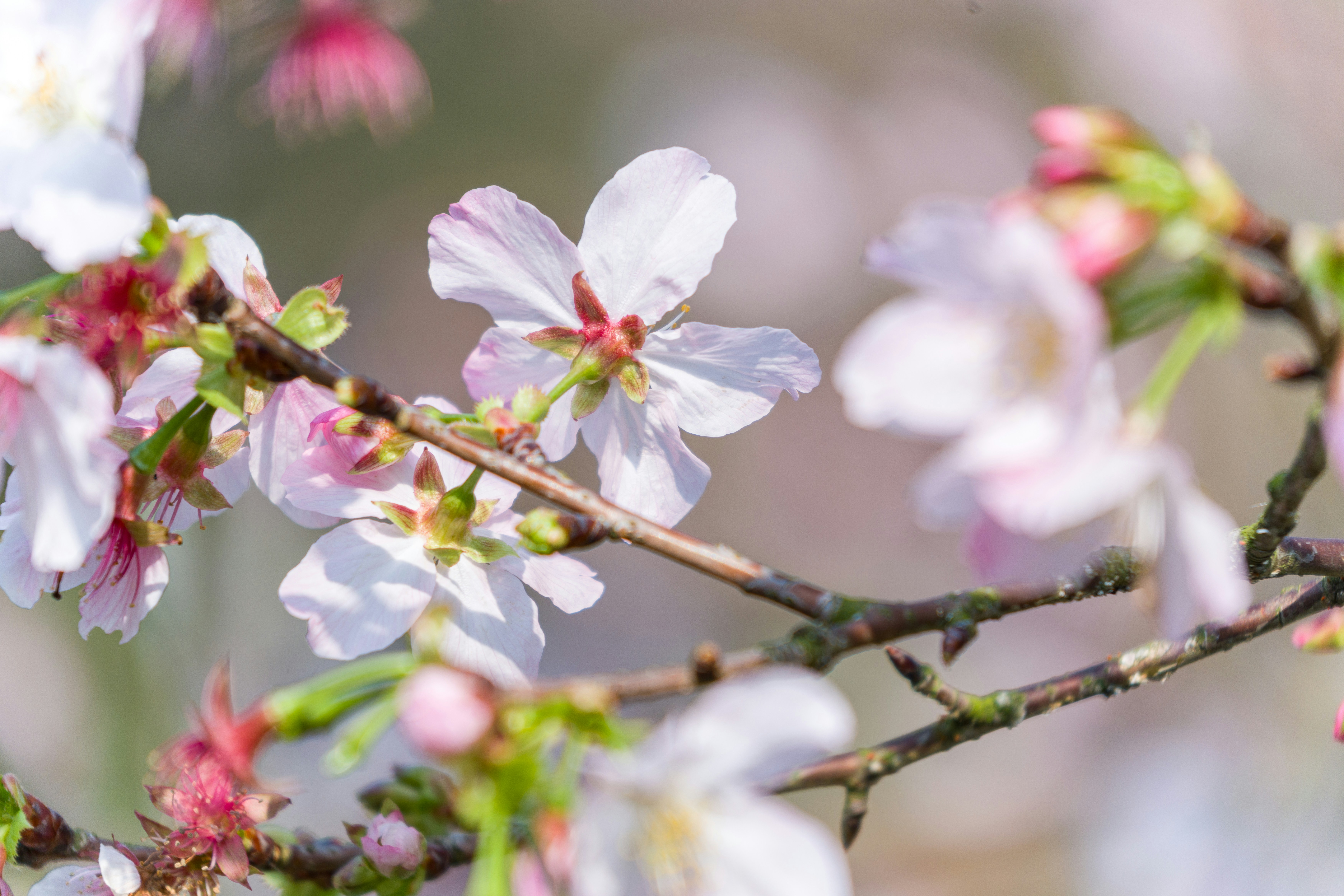 Photo by winstonchen