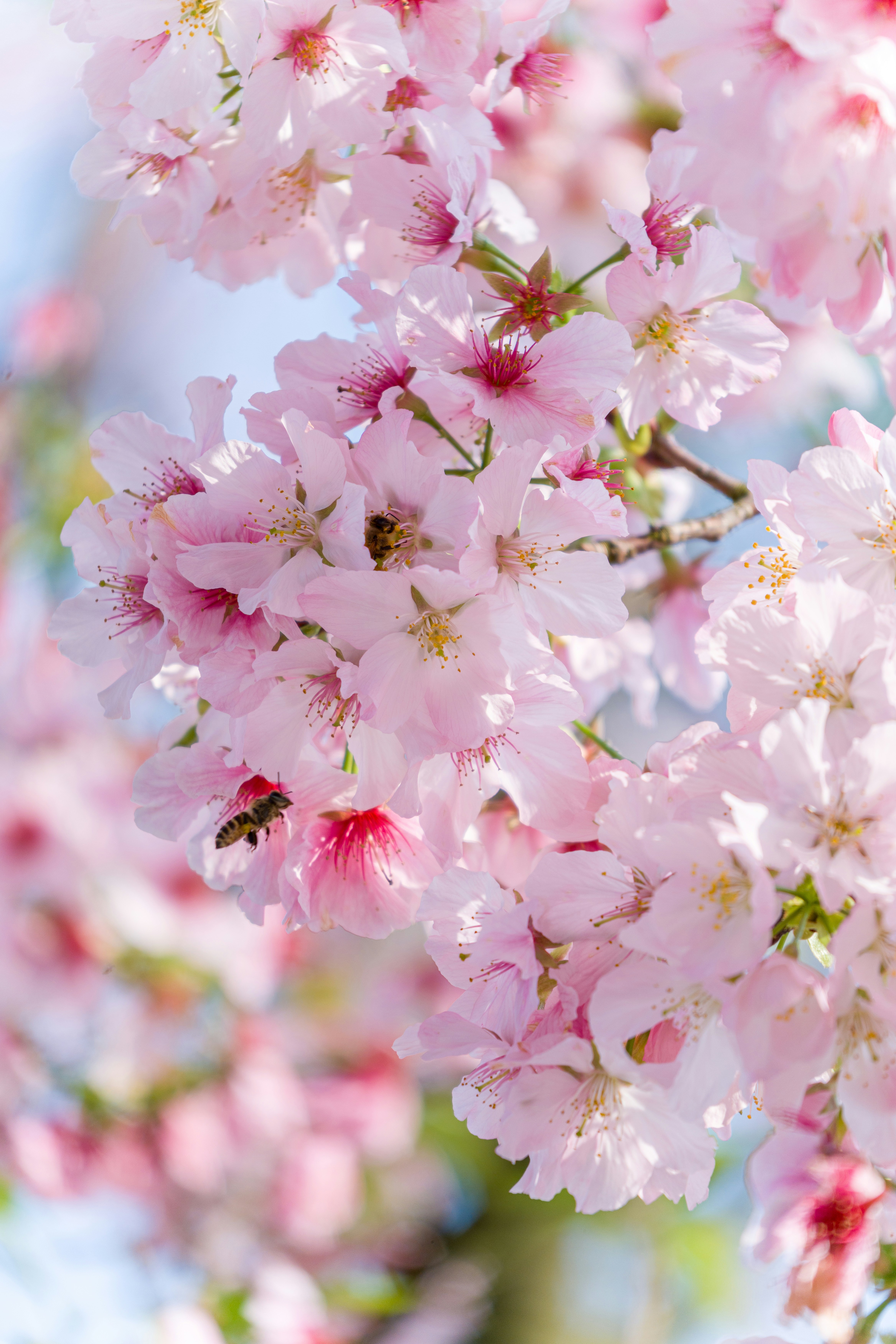 Photo by winstonchen