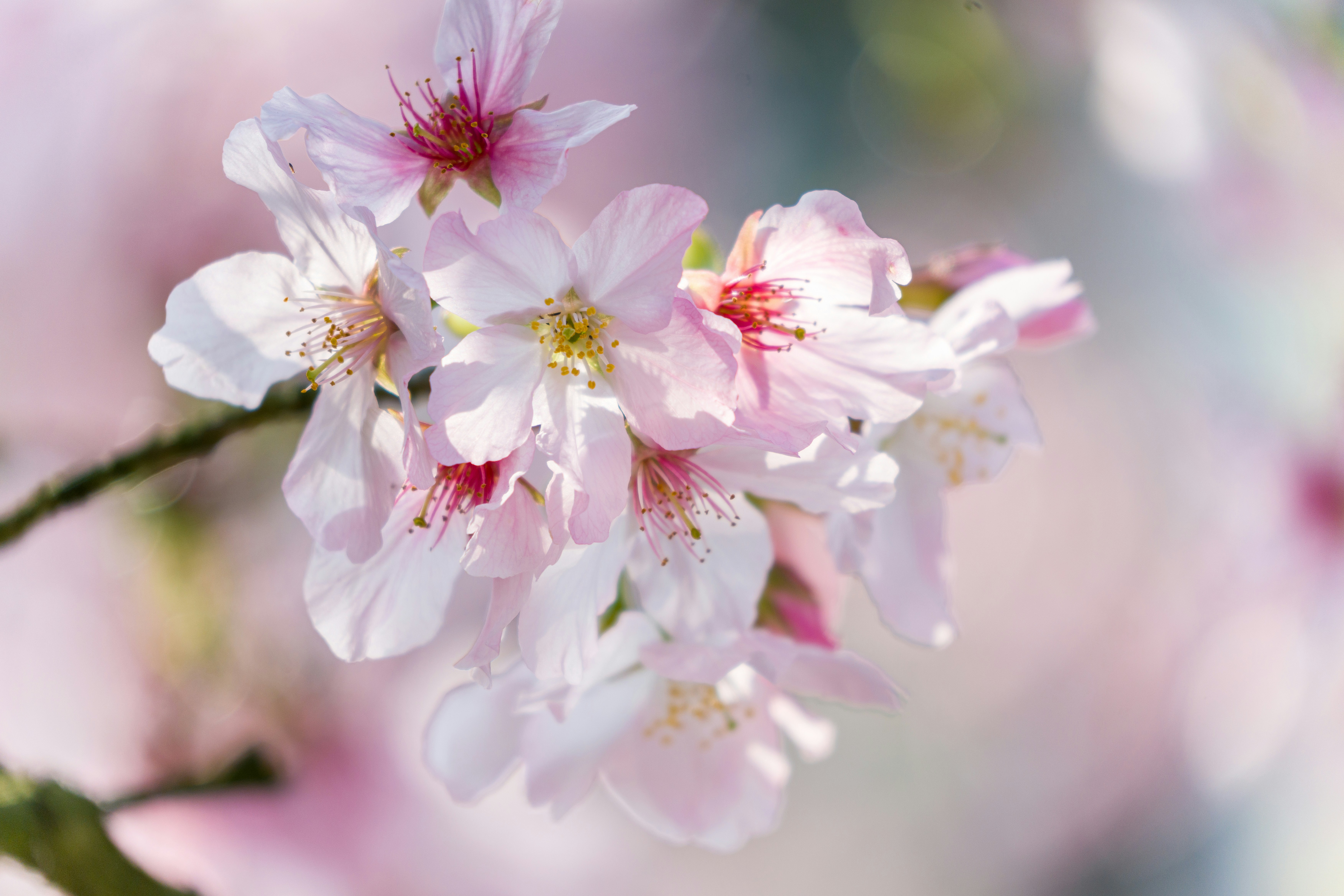 Photo by winstonchen