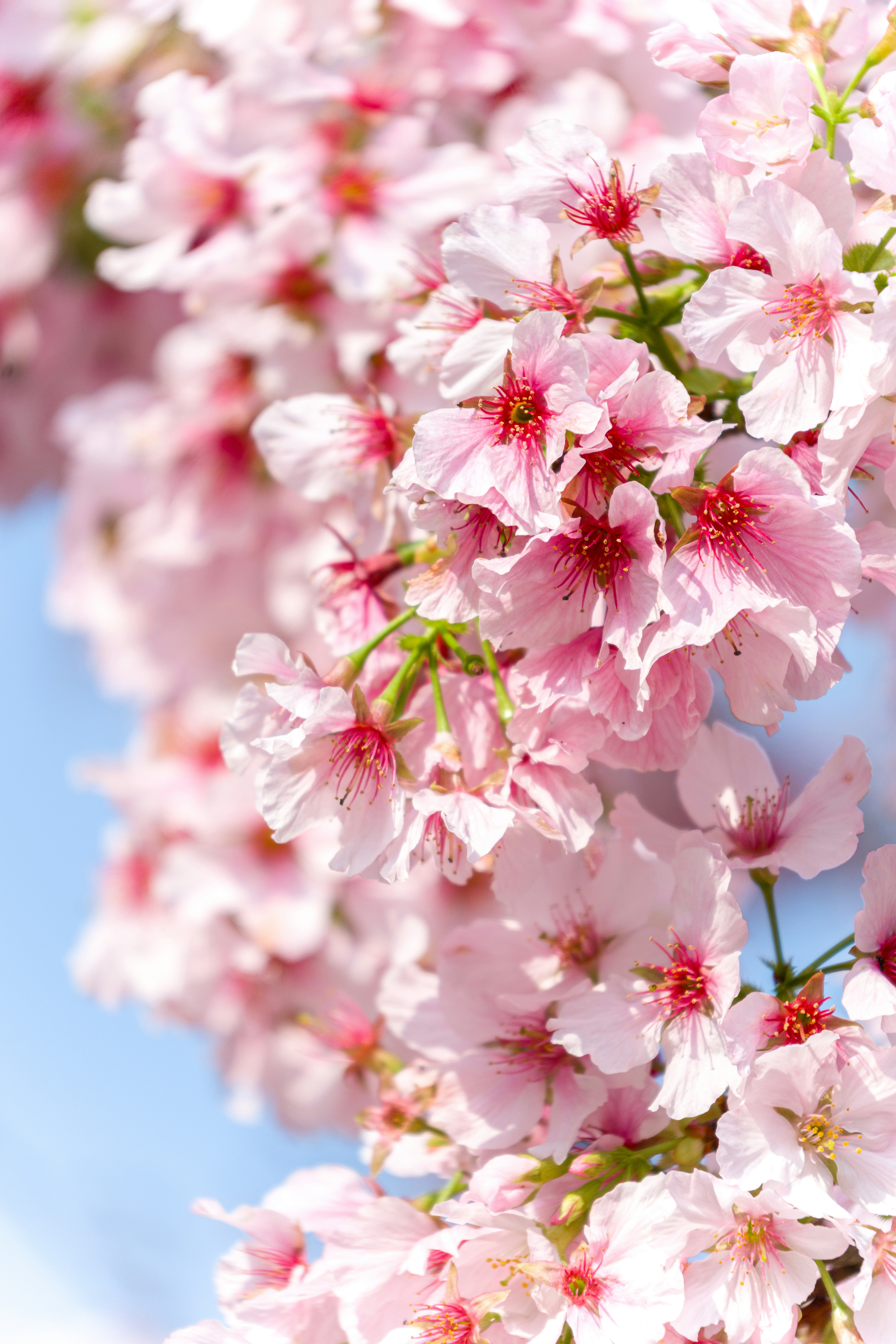 Photo by winstonchen