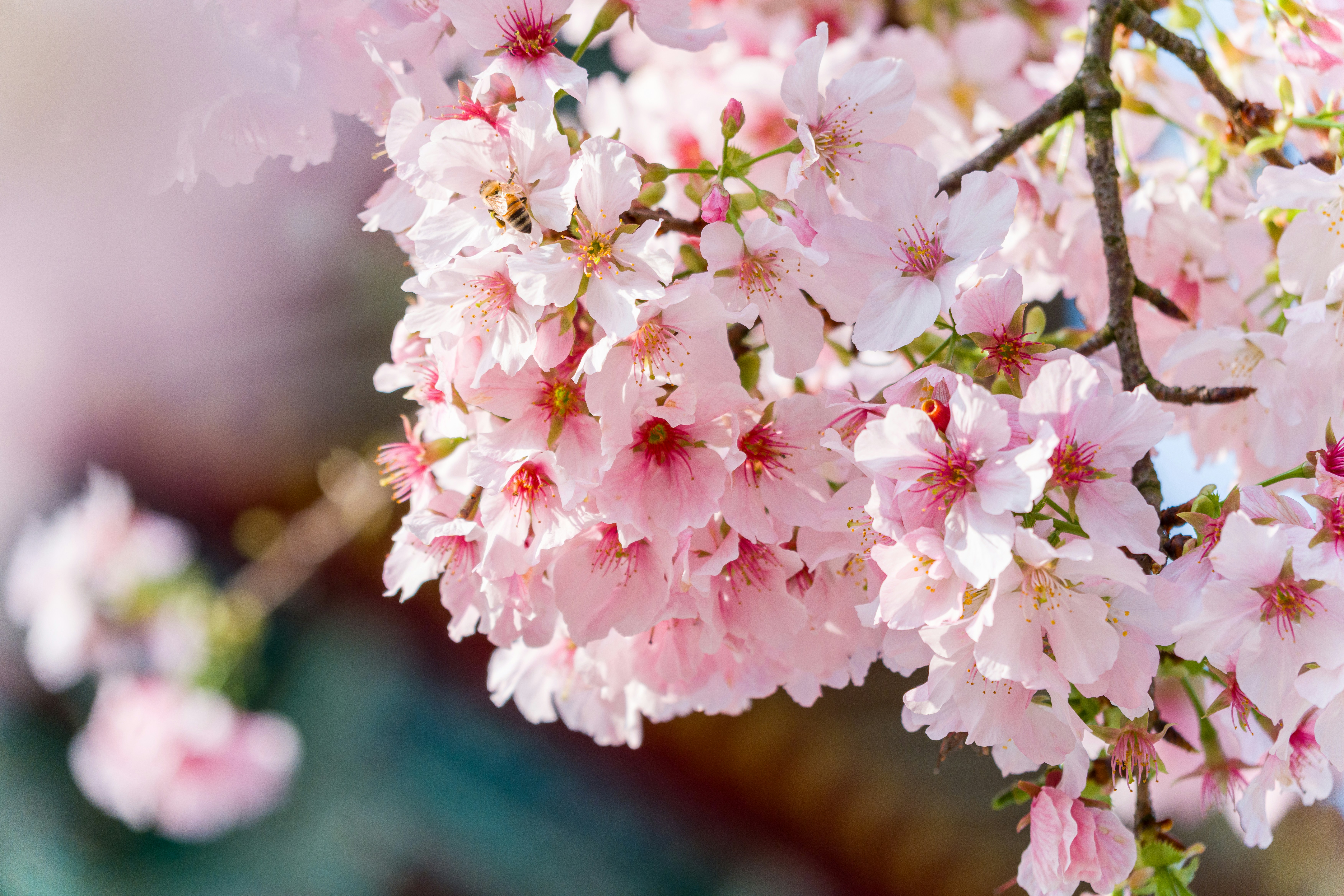 Photo by winstonchen