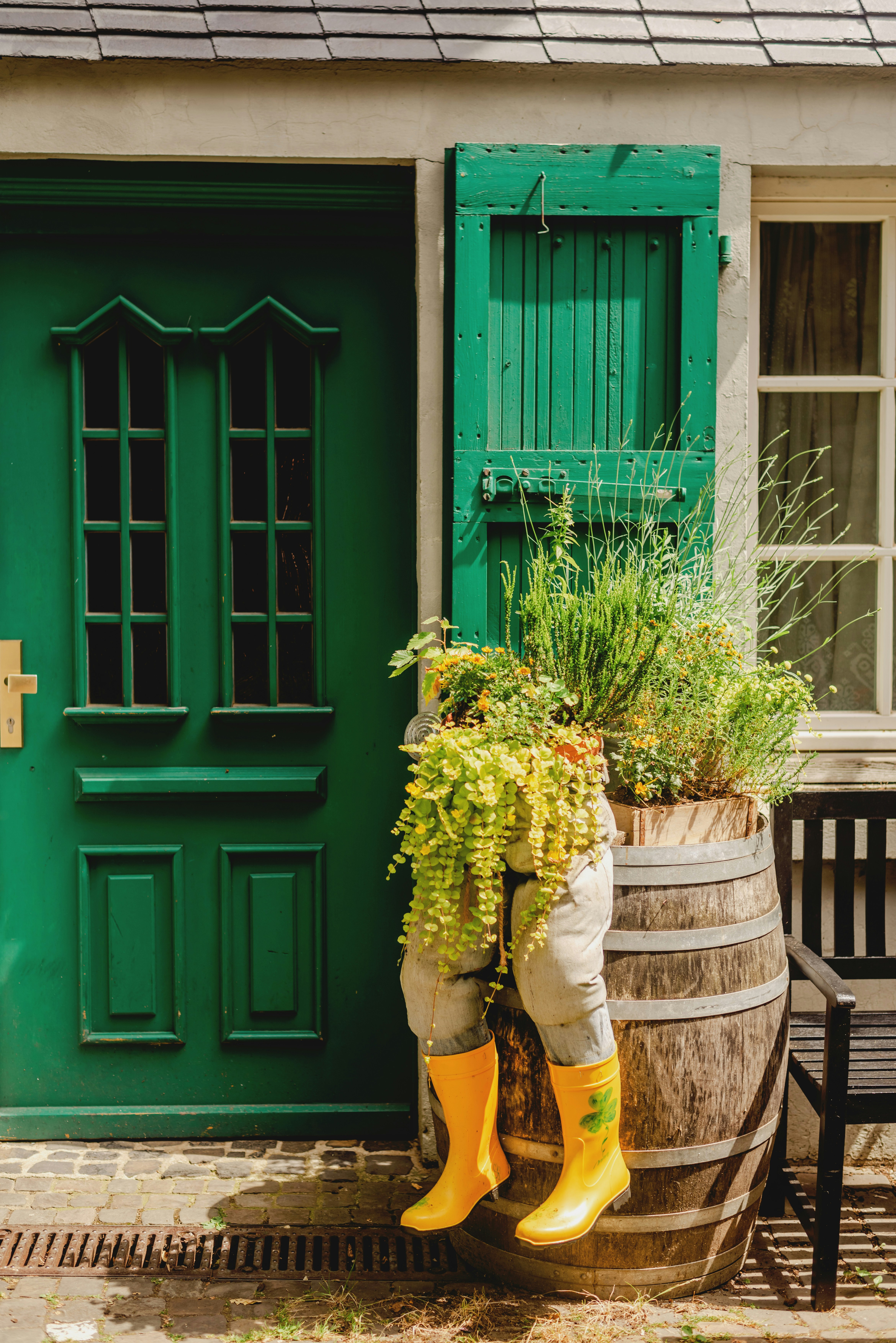 Green door with plants in a barrel and yellow boots