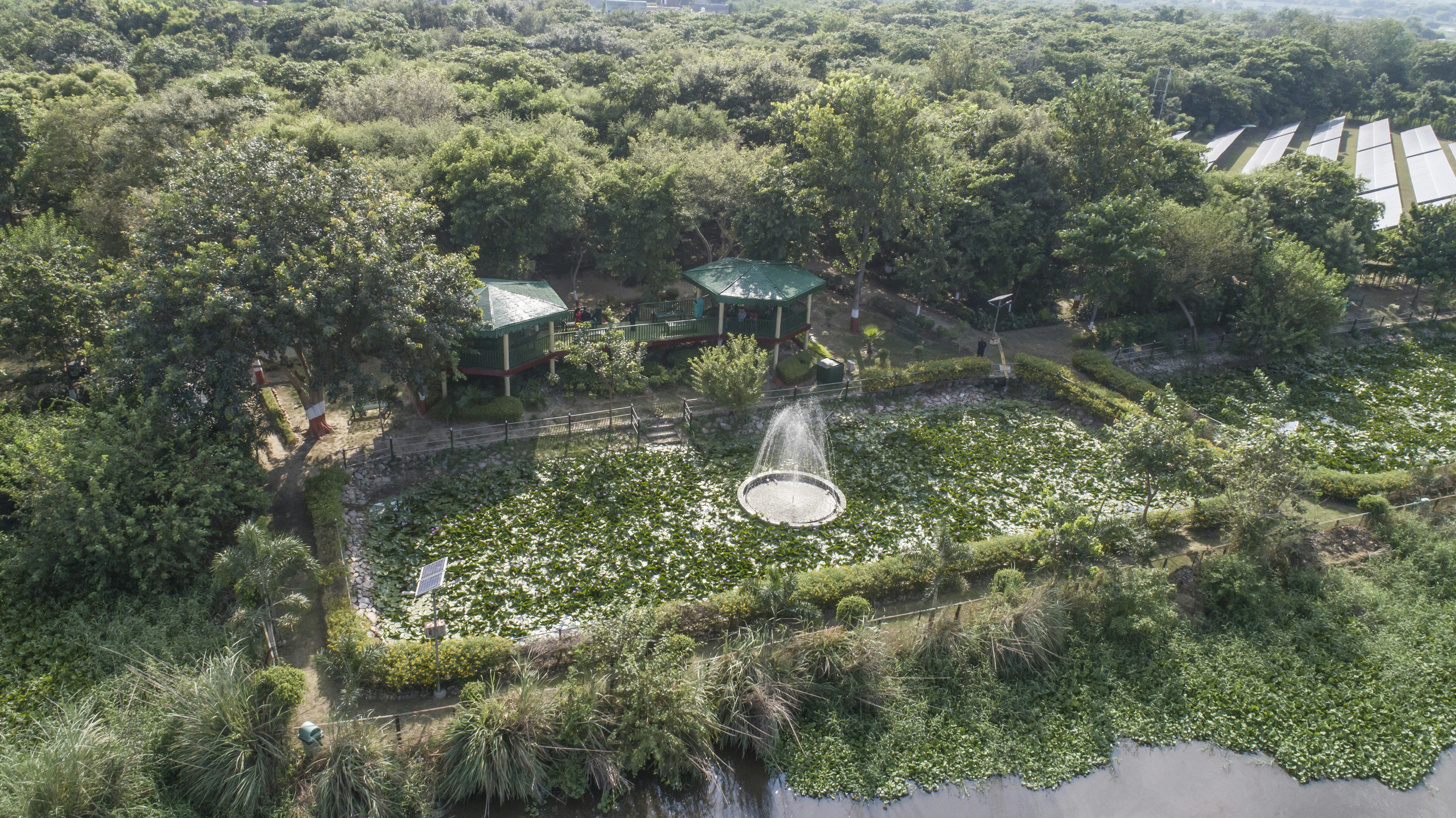 A garden with lily pads and two gazebos.