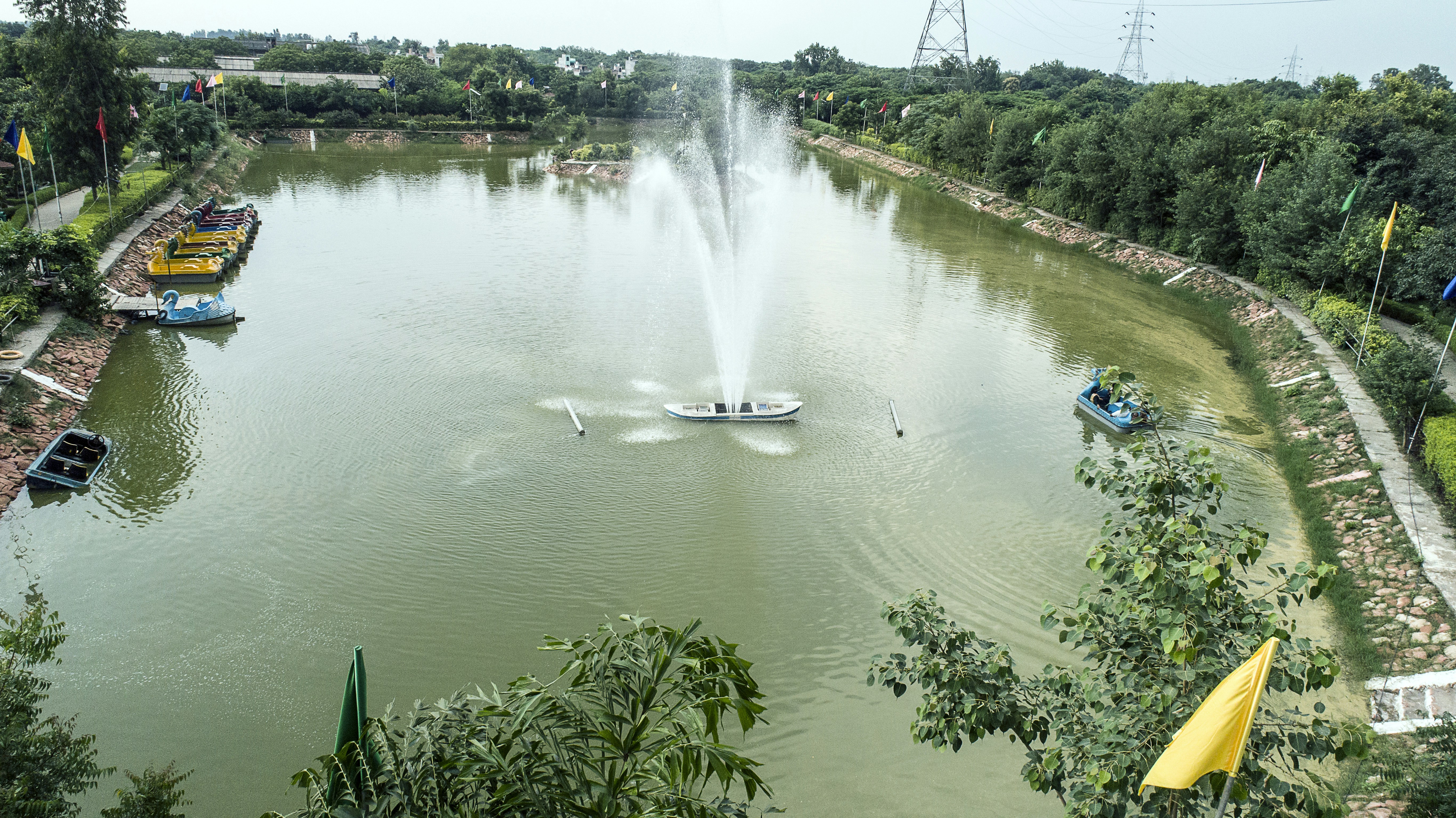 Forest City Recreation Area