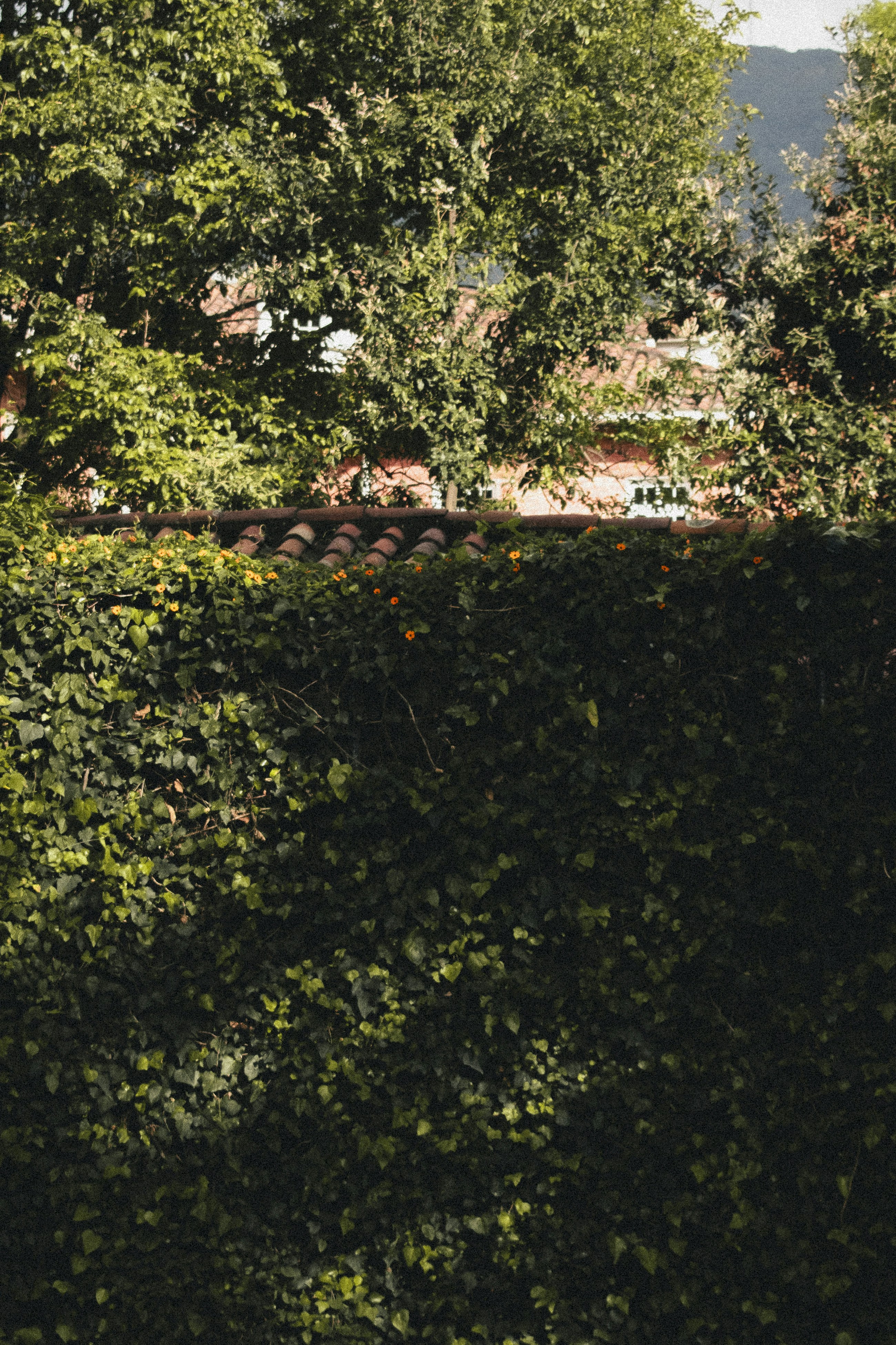 Photo by sebaslaverde_nkn