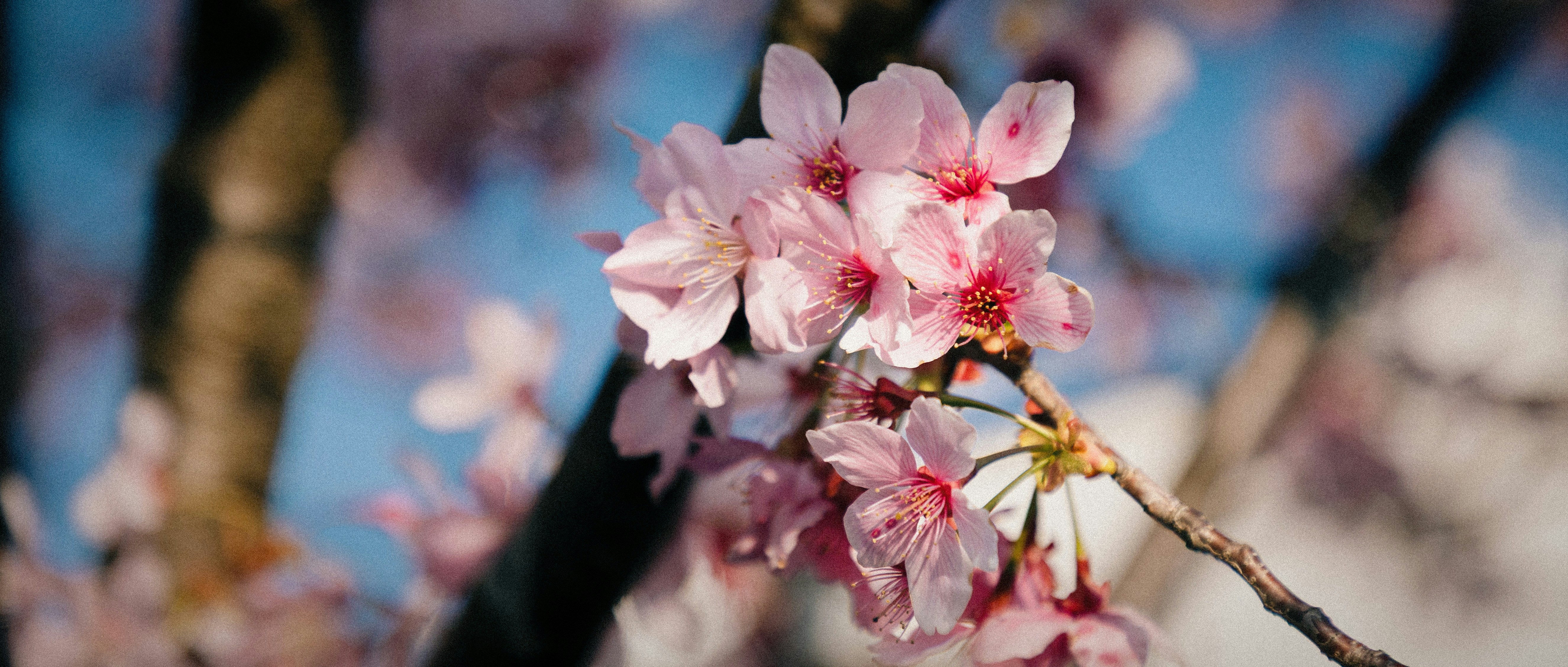 Photo by guheihei2333