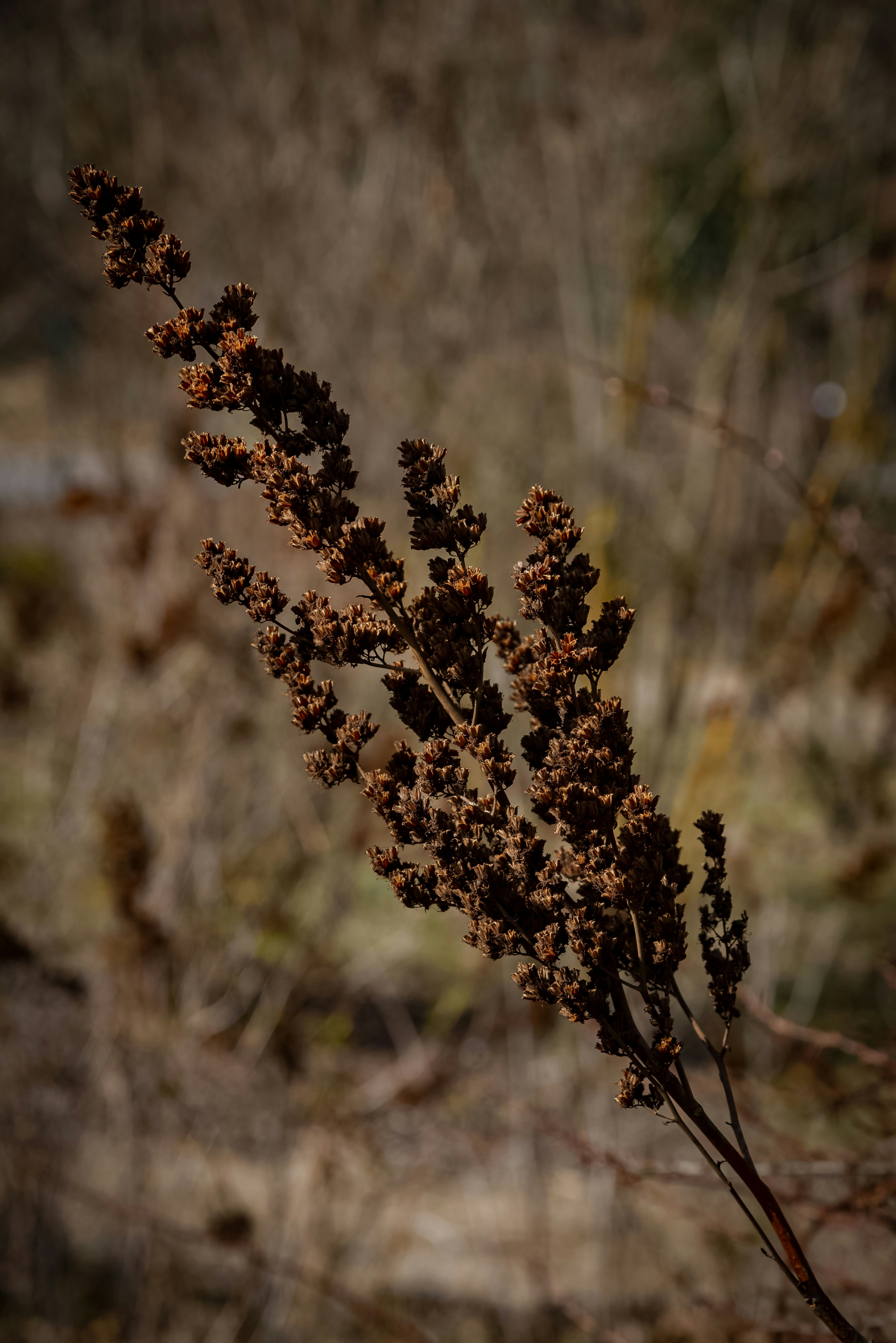 Photo by malwinanogaj