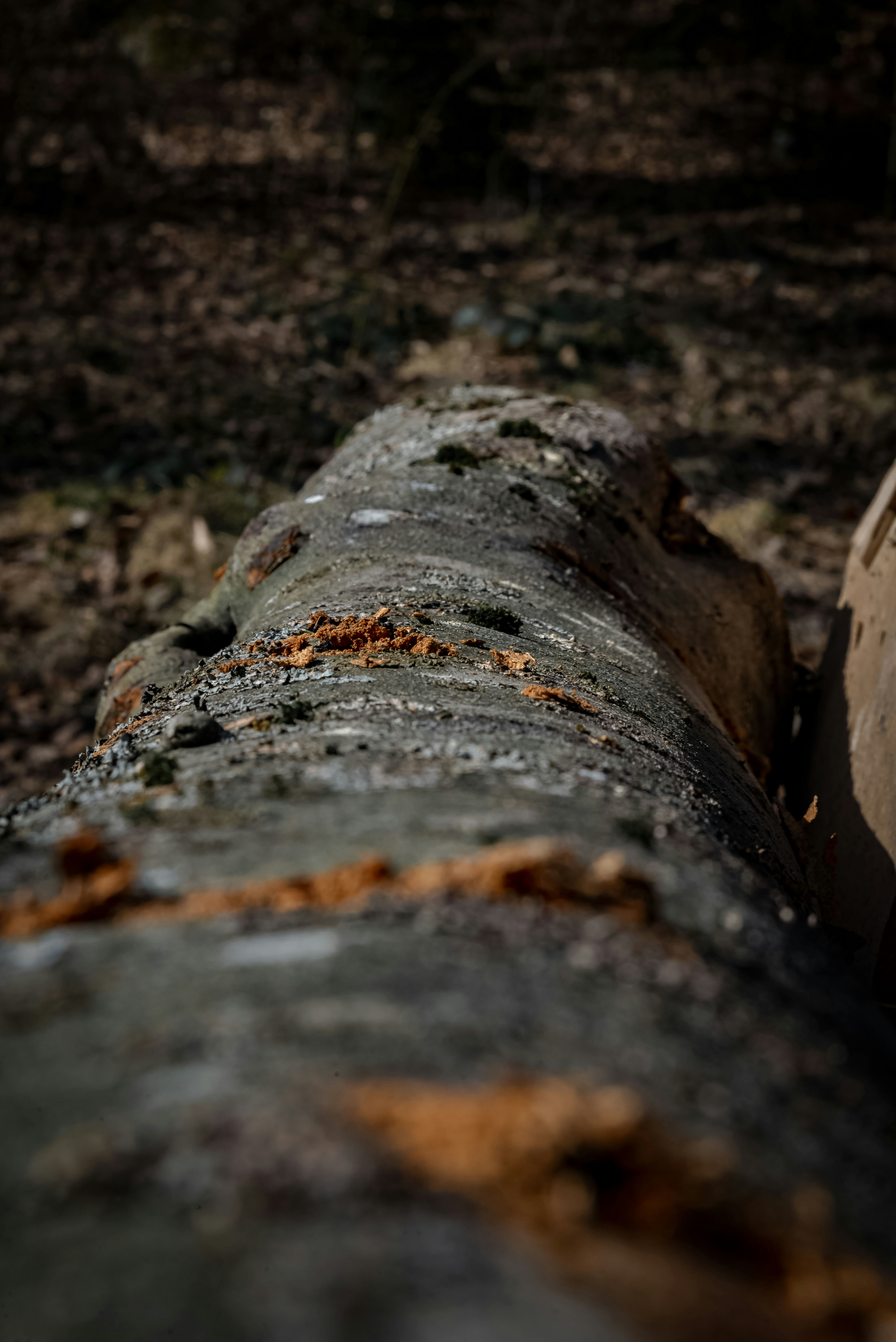 Photo by malwinanogaj