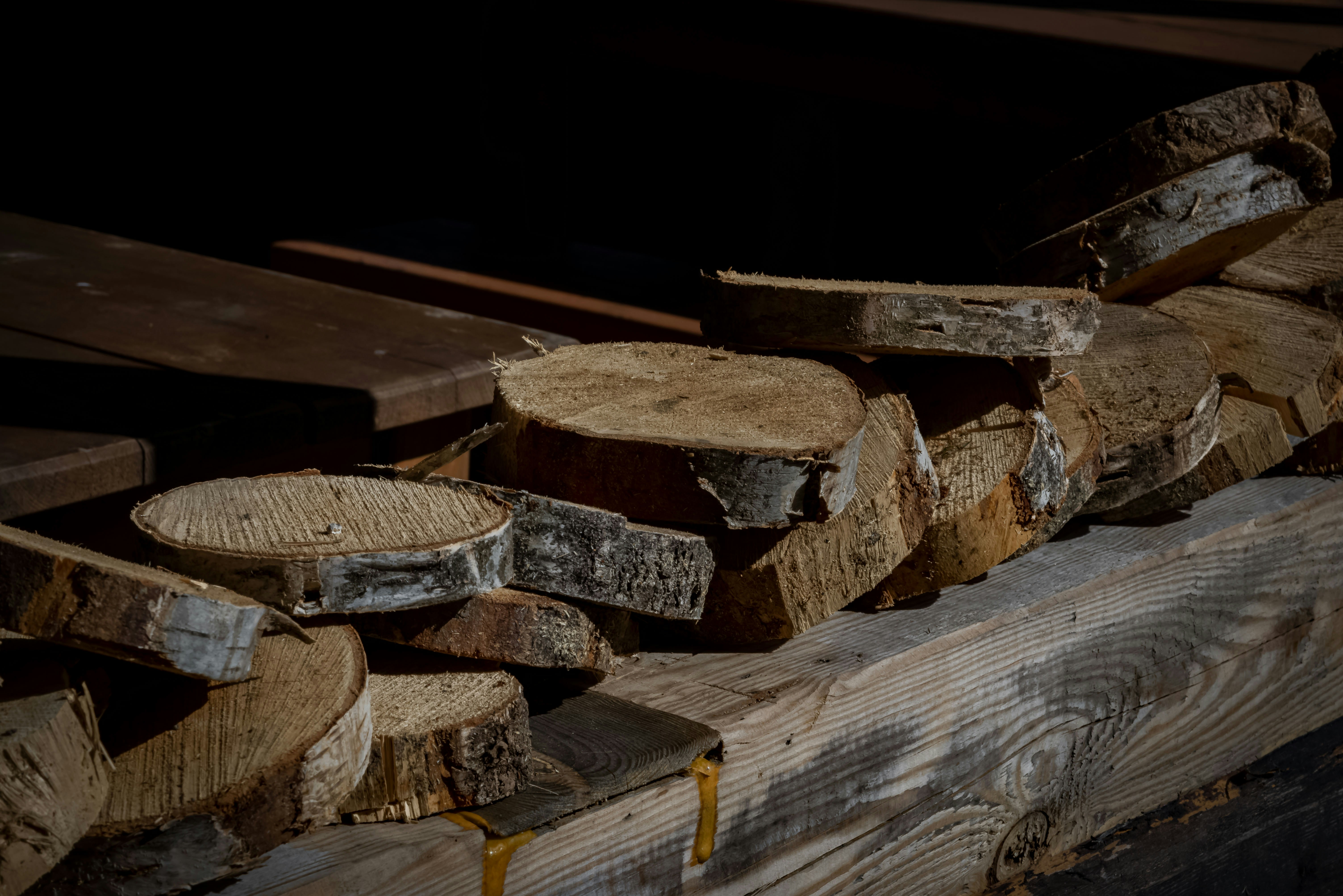 Photo by malwinanogaj