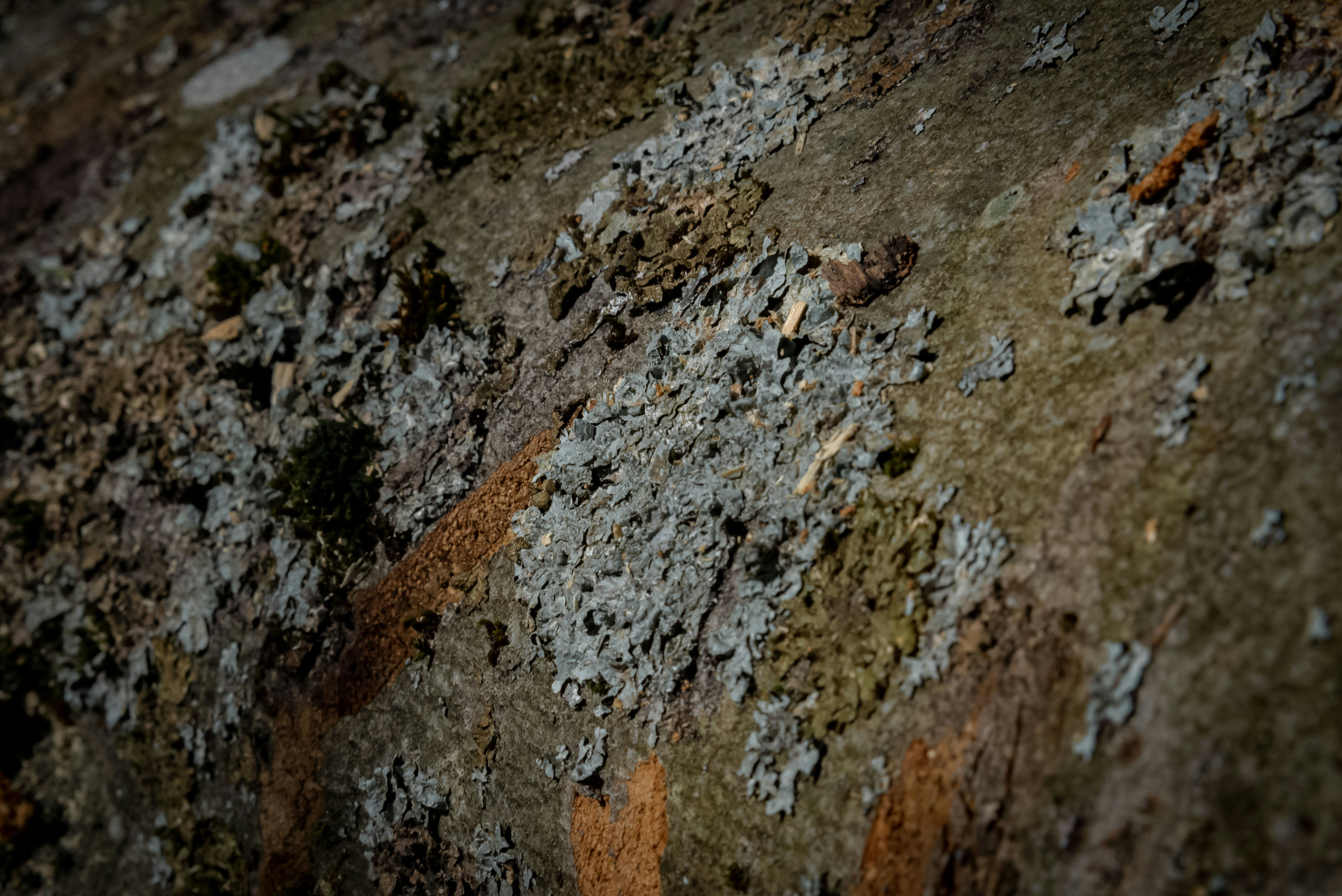 Photo by malwinanogaj