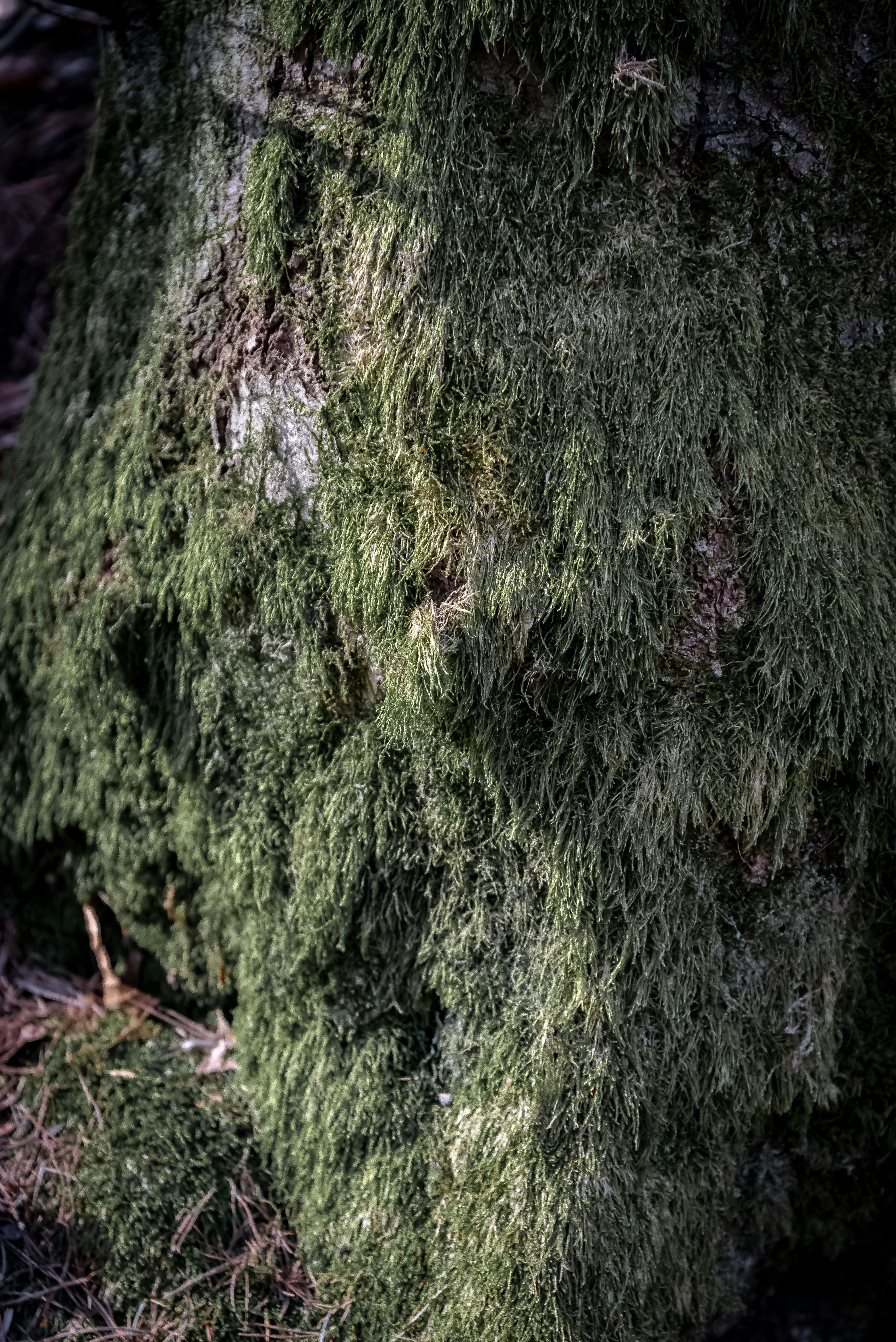 Photo by malwinanogaj