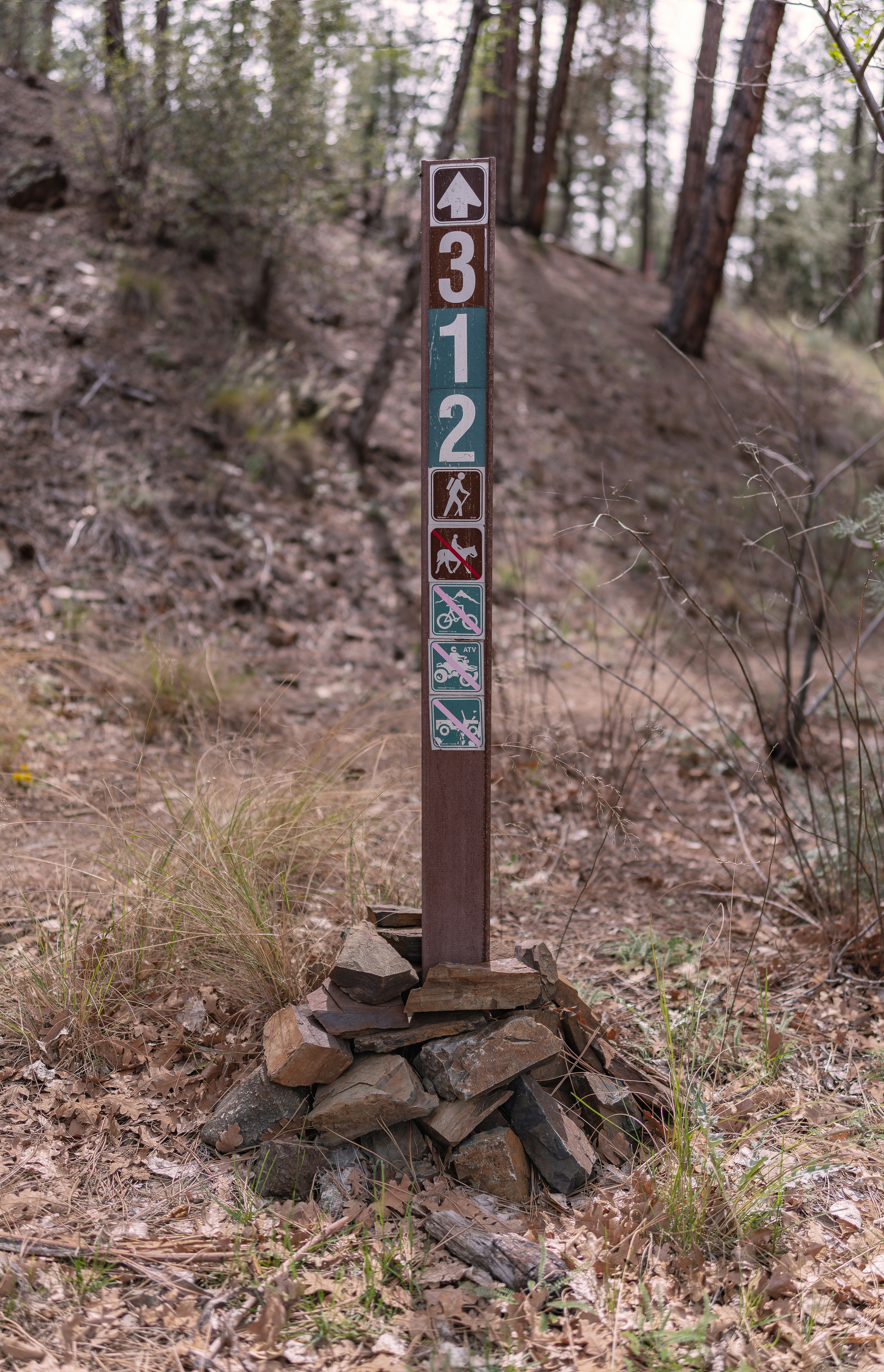 A trail marker in a forest — evoking a mountain journey
