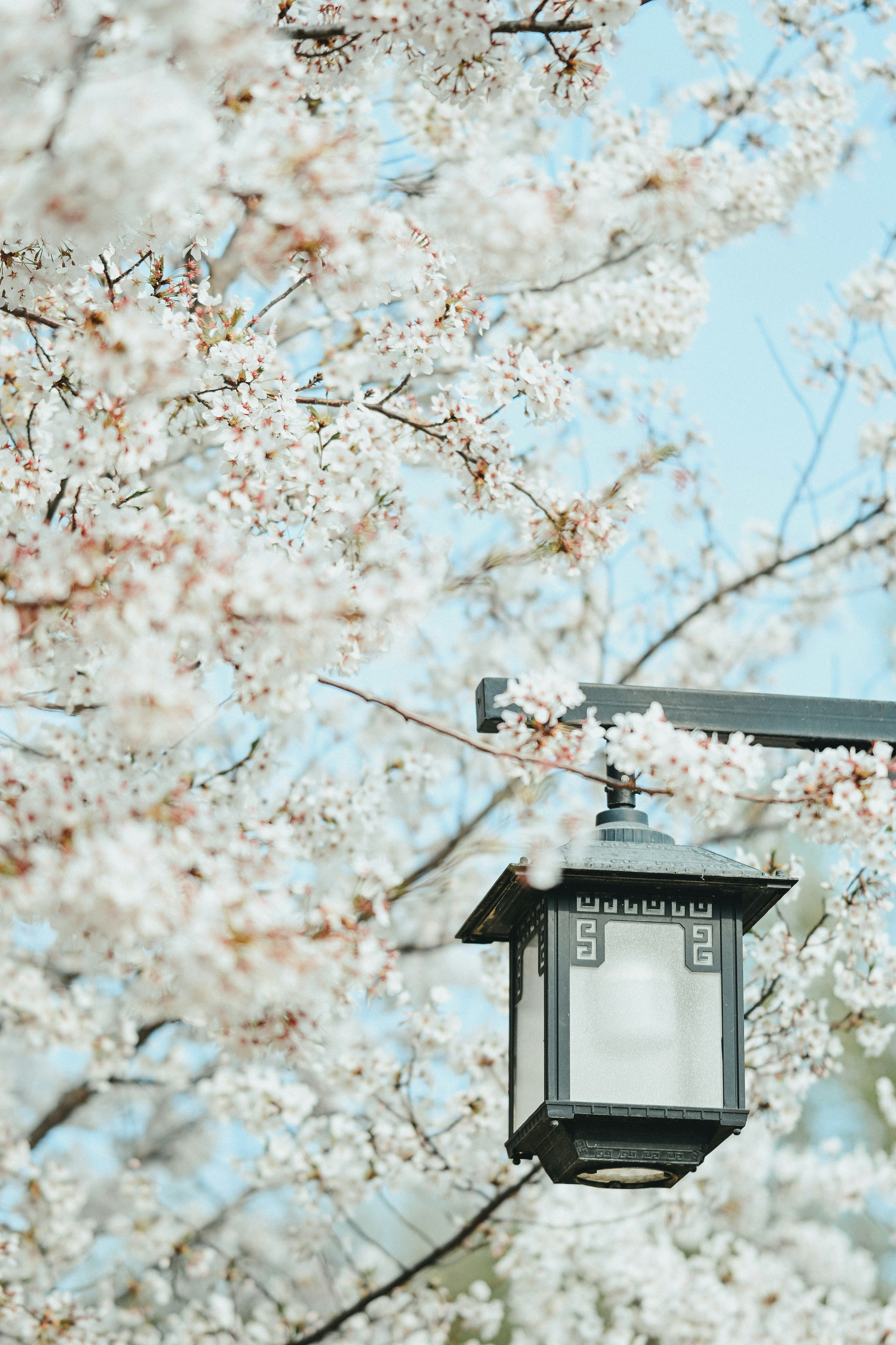 Photo by soujest