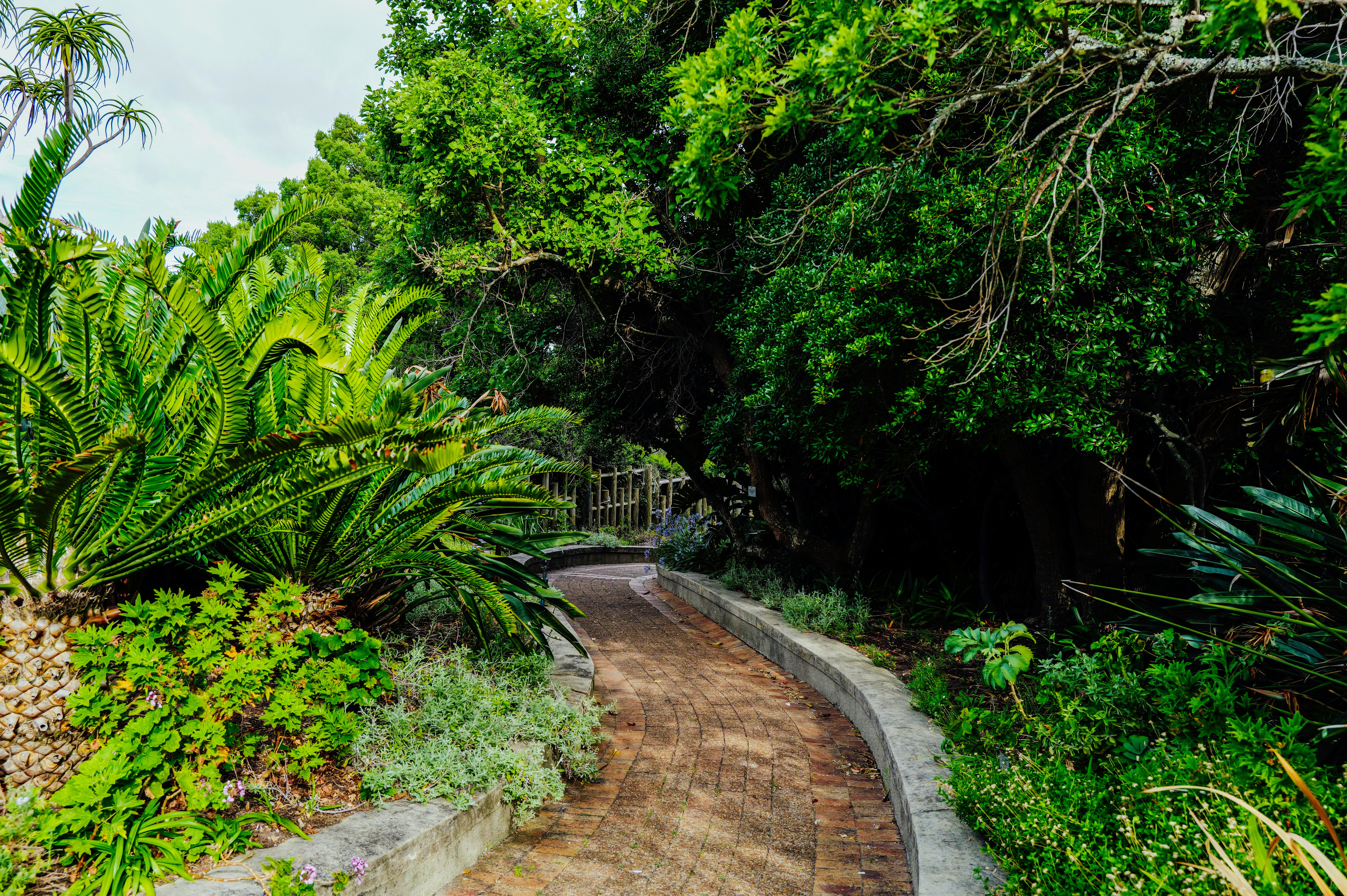 Photo by adrienolichon