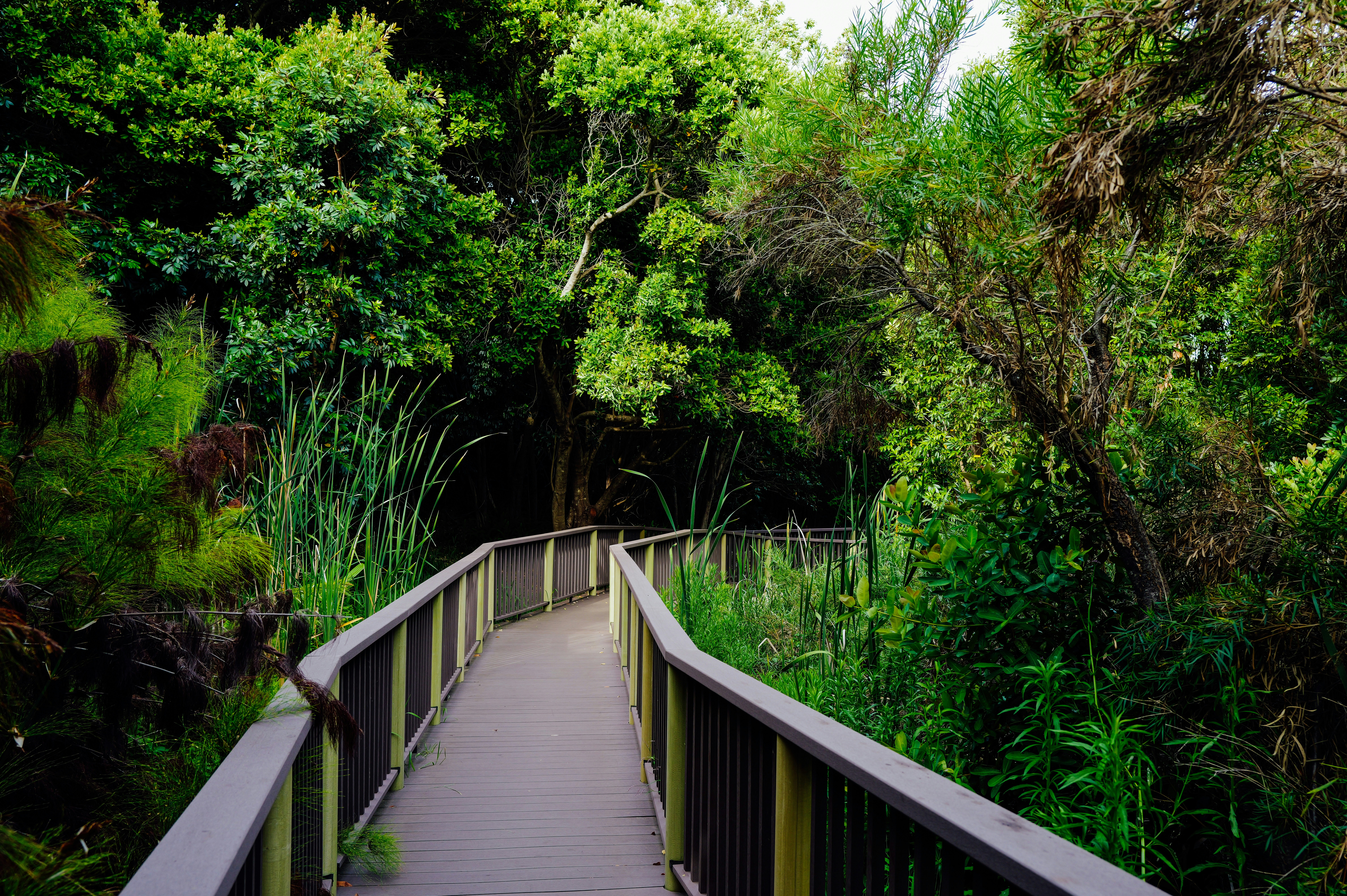 Photo by adrienolichon