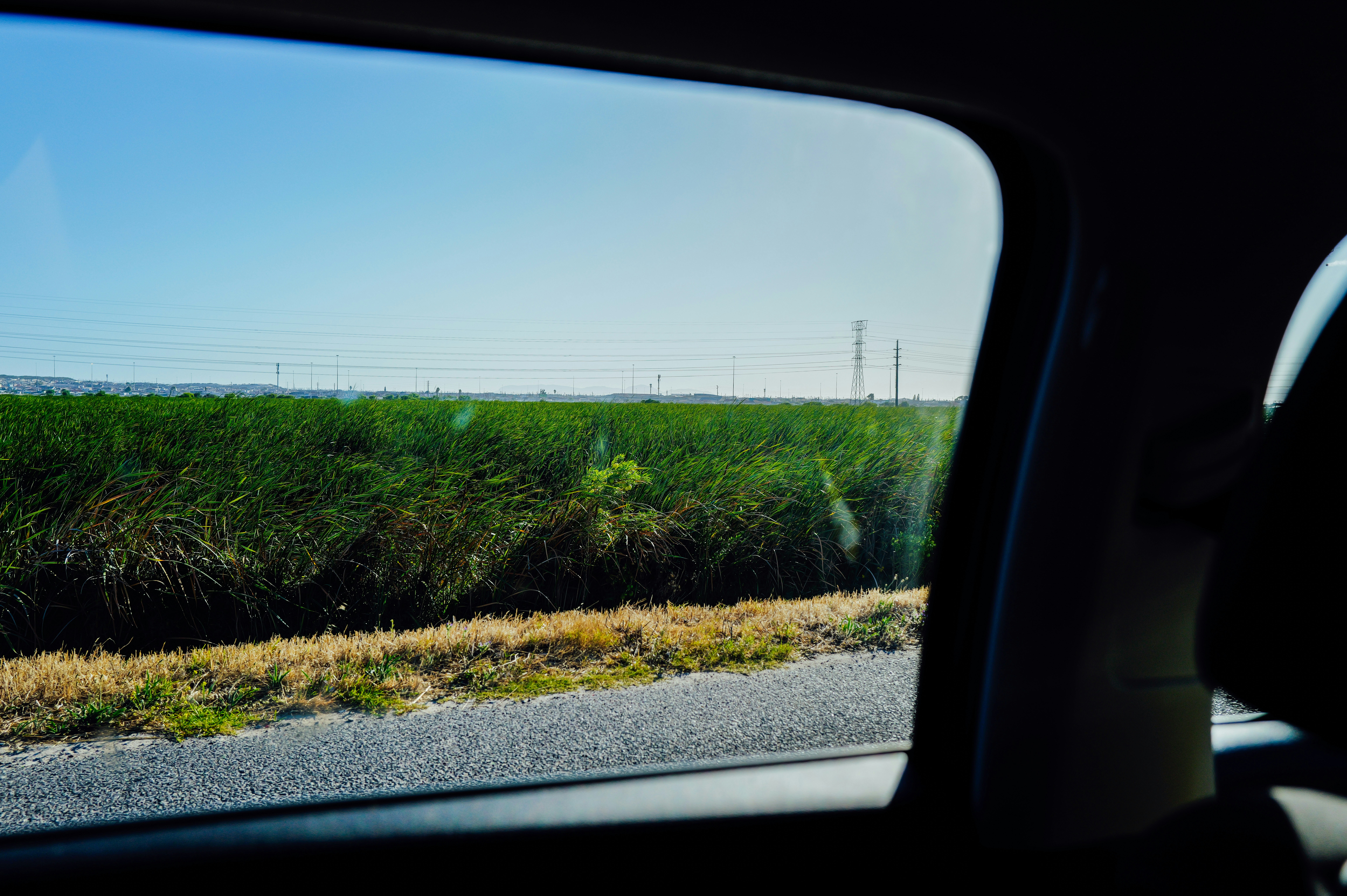 View of green fields from a car window