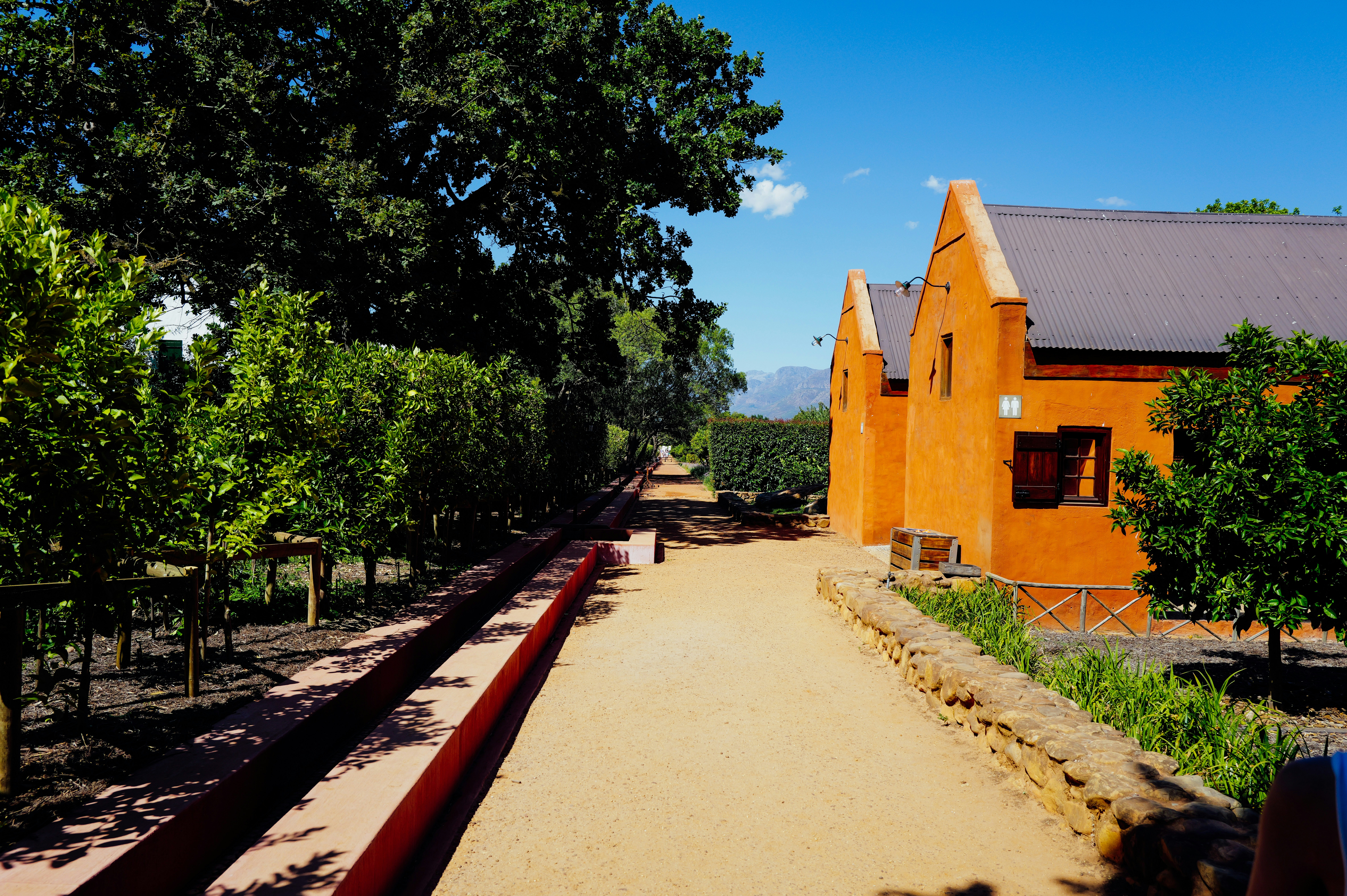 Orange buildings line a path through vineyards.