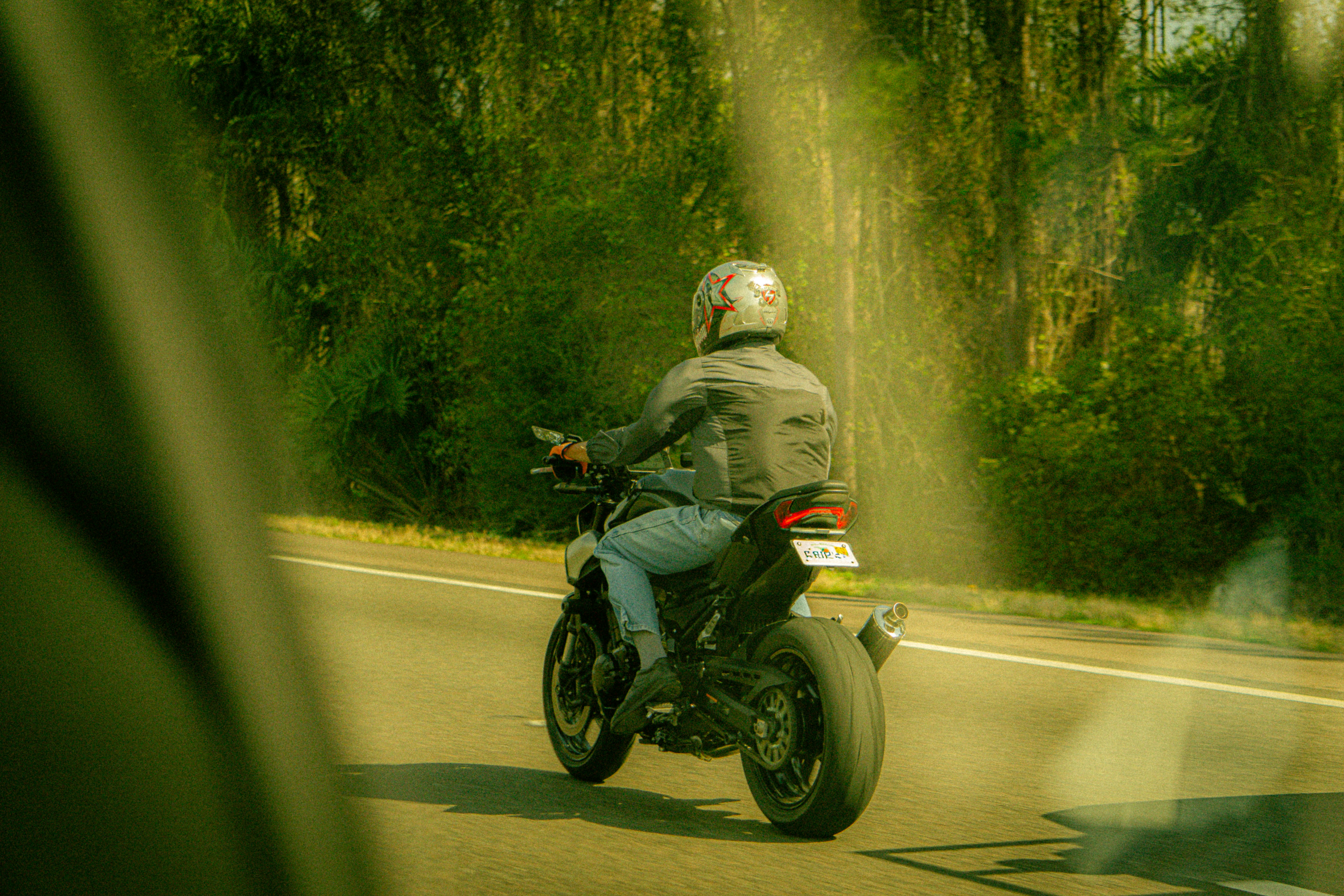Man riding a motorcycle on a tree-lined road