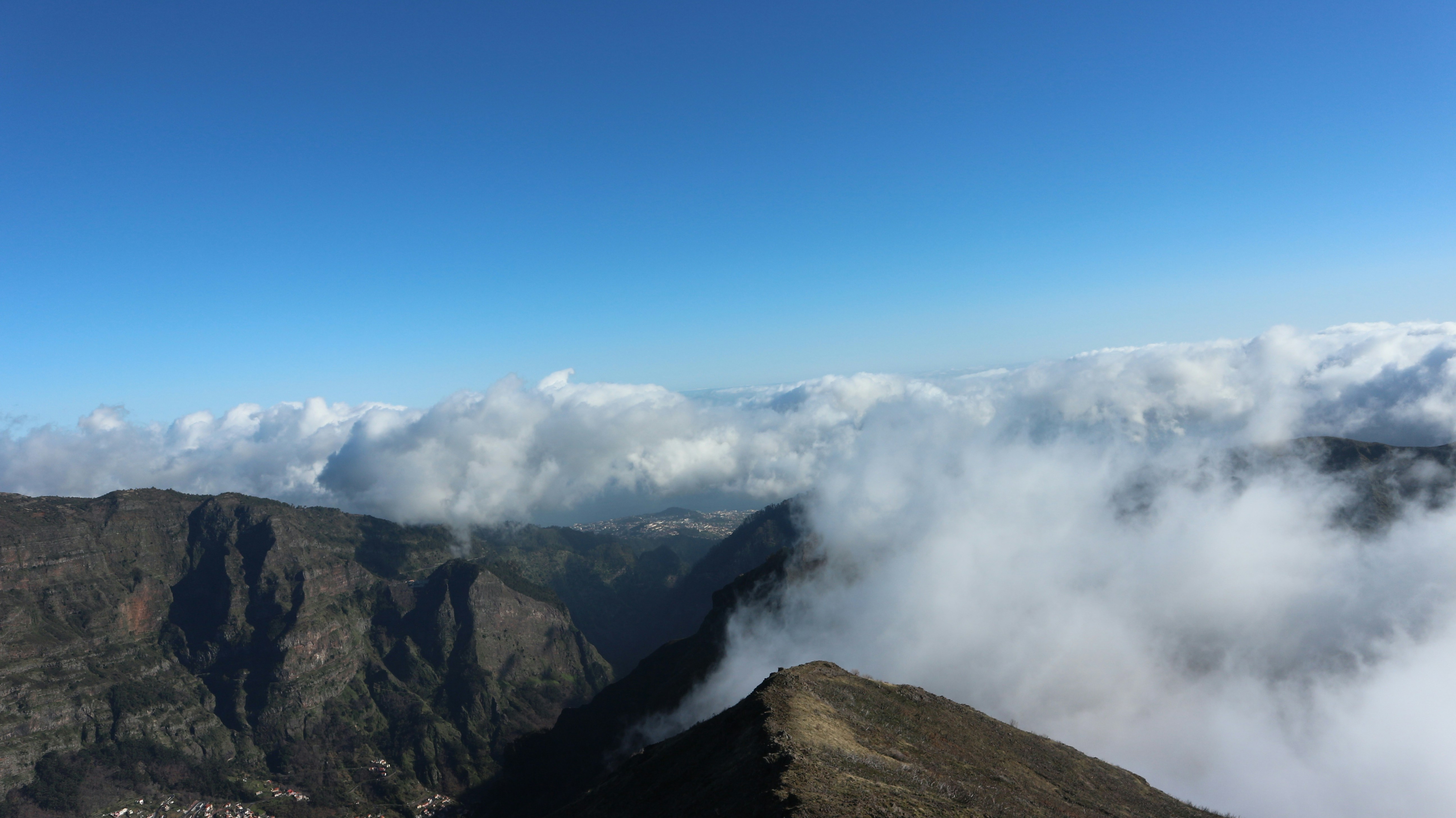 Photo by andreitipurita