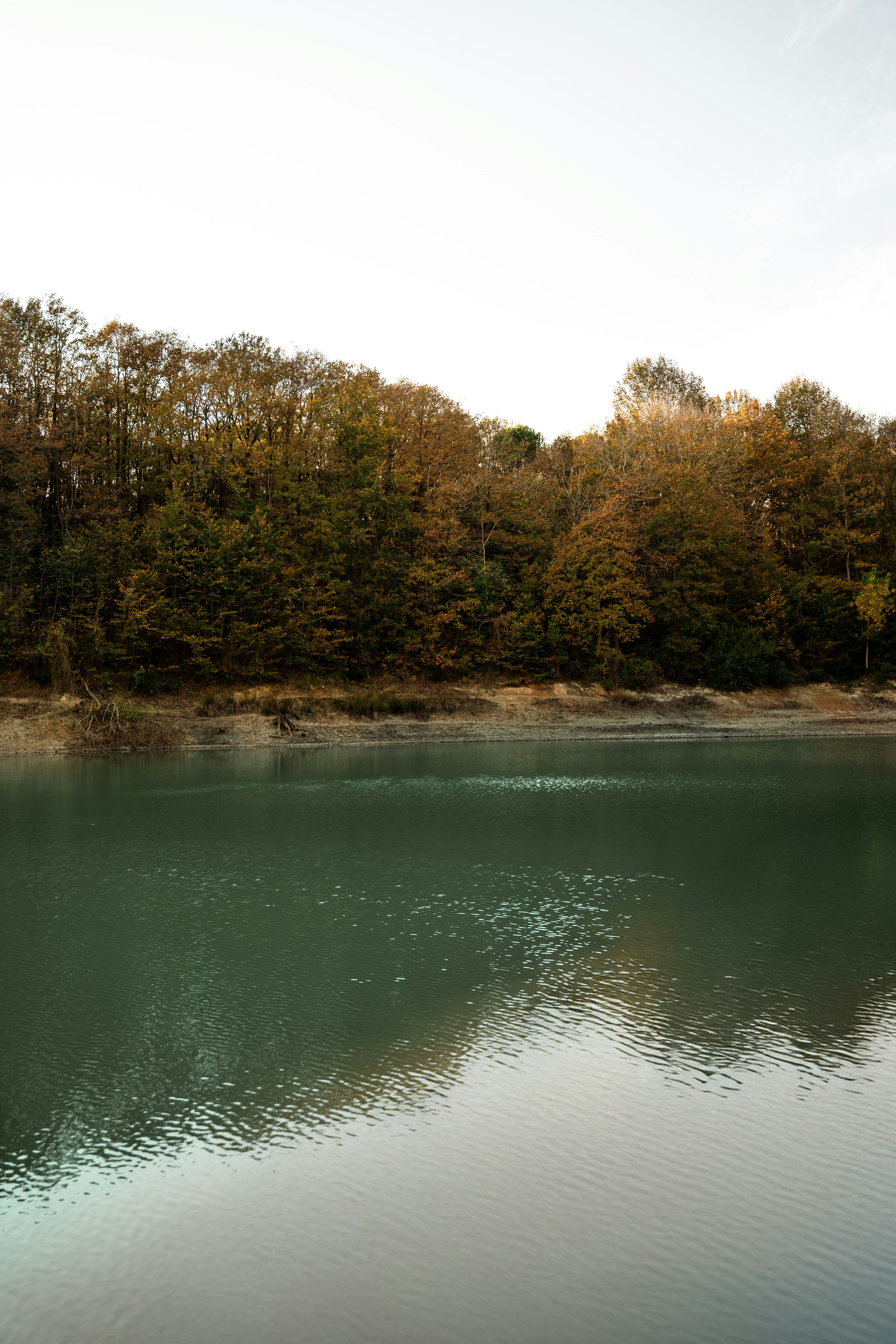 Photo by nurdeniss