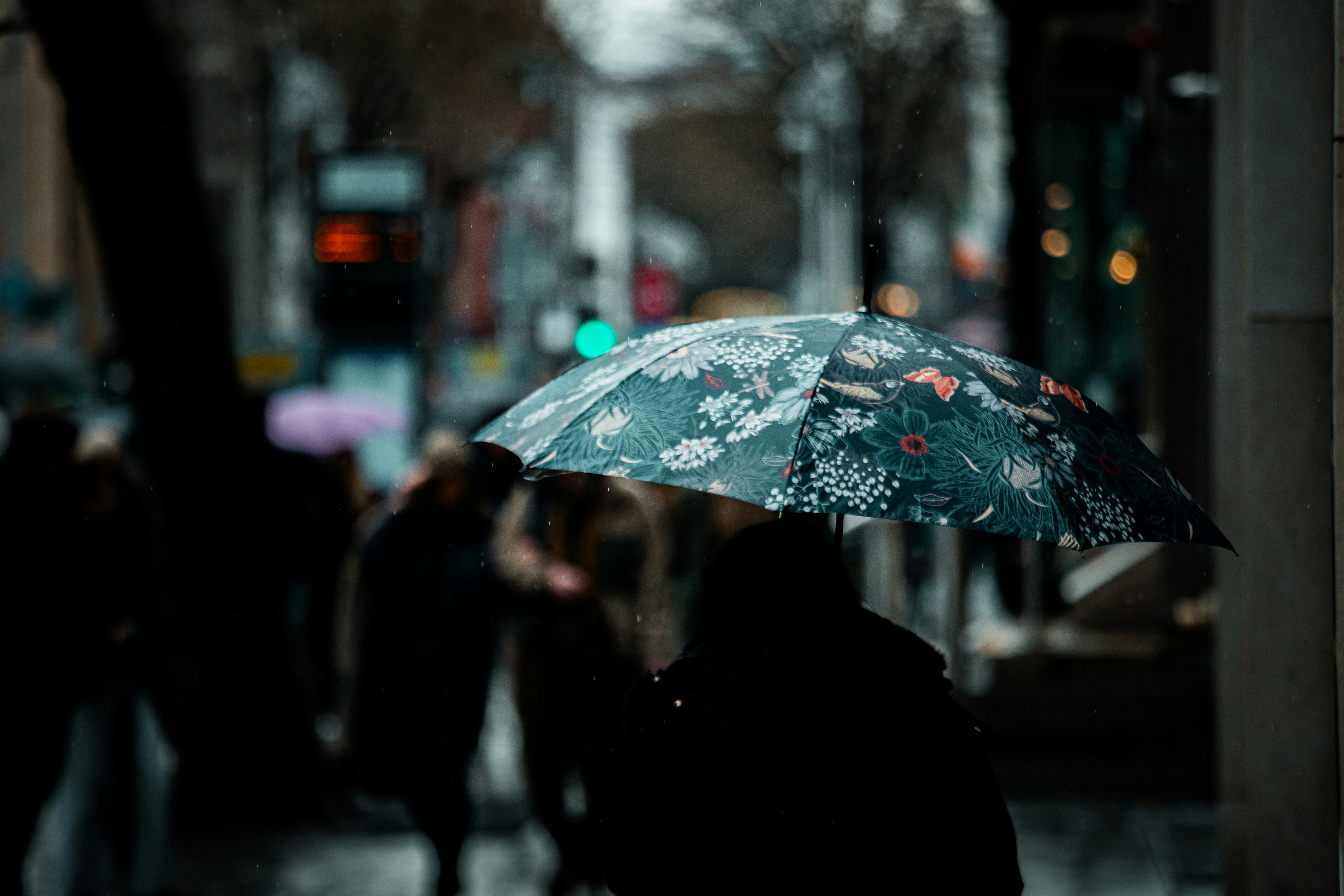 Photo by atelierbyvineeth