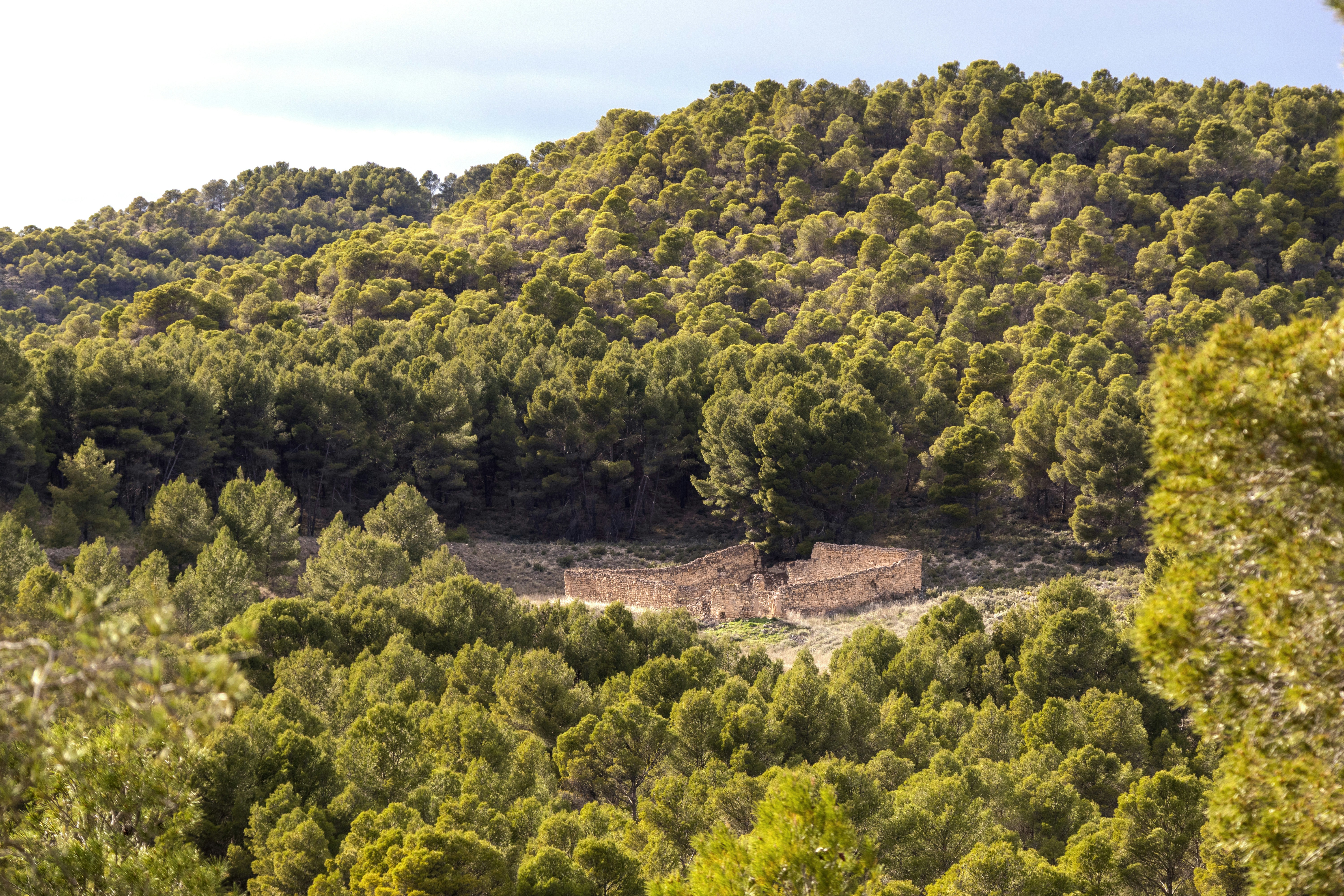 Photo by a_skaldsson