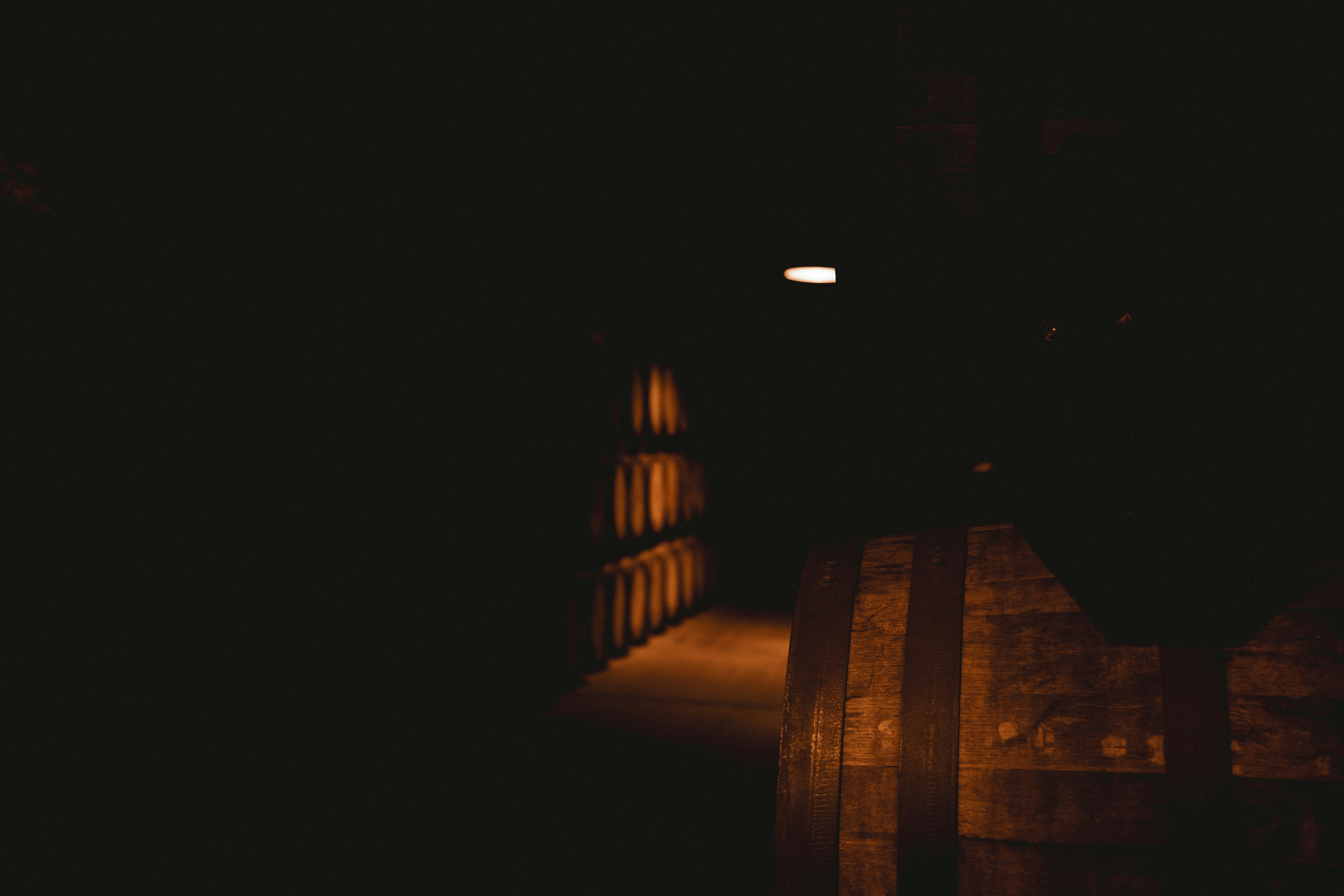 Dark cellar with rows of wooden barrels.