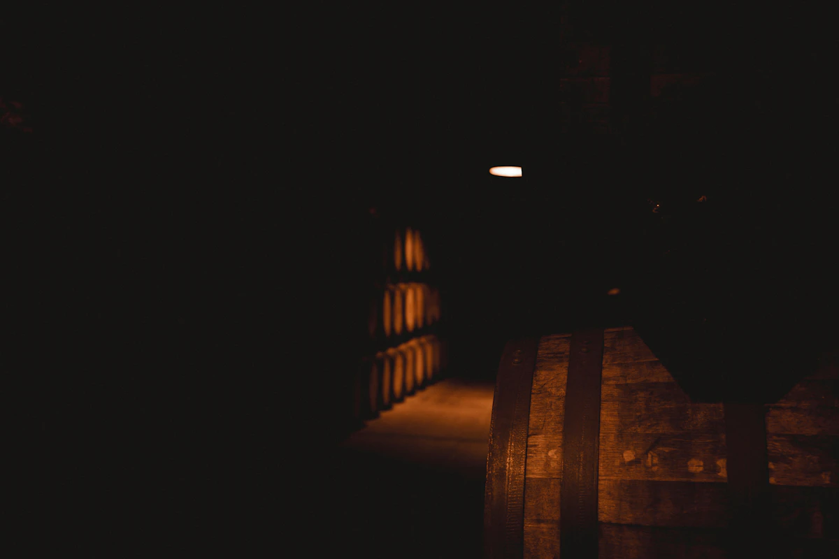 Rows of oak barrels resting in a dark cellar