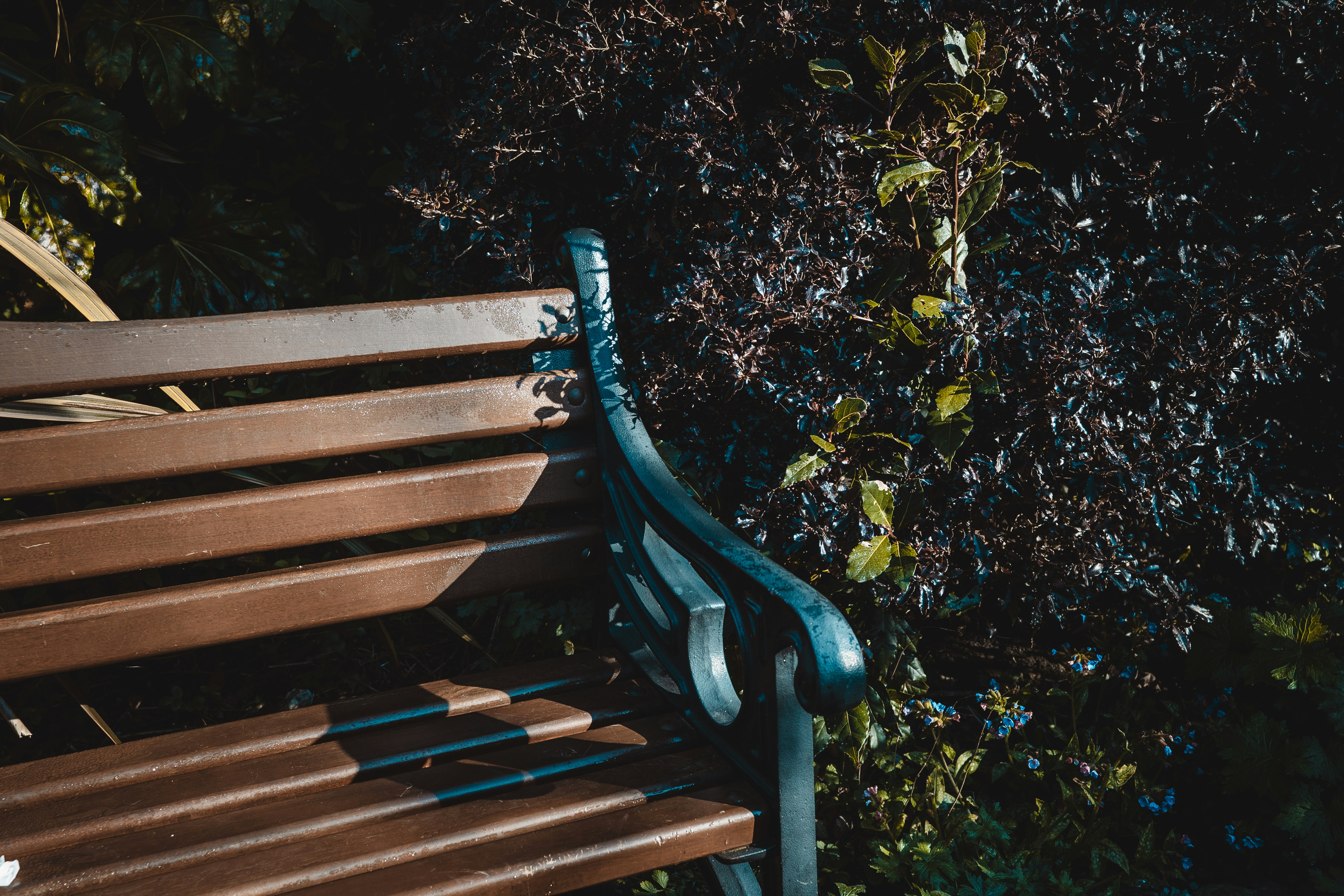 Photo by gonchifacello