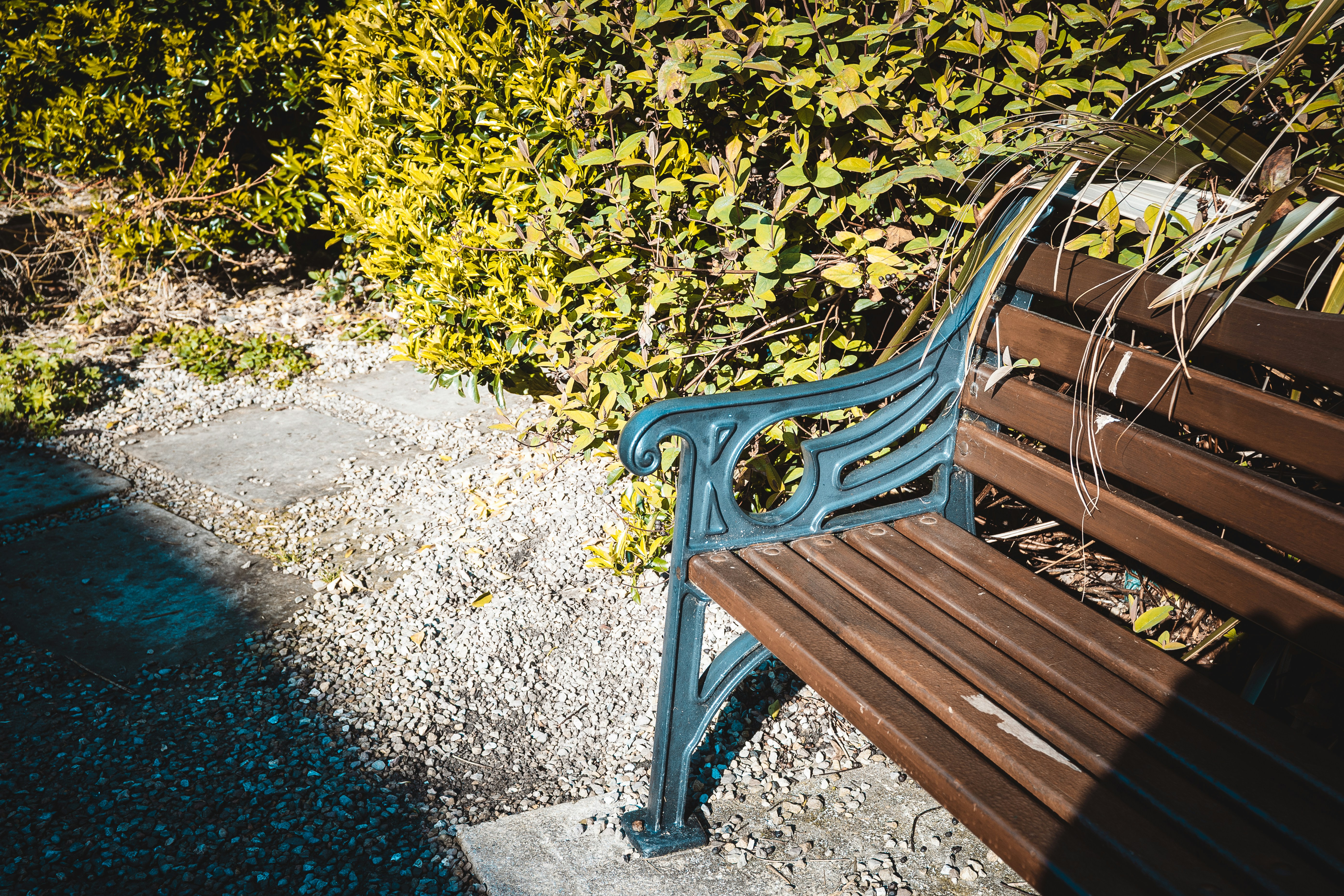 Photo by gonchifacello