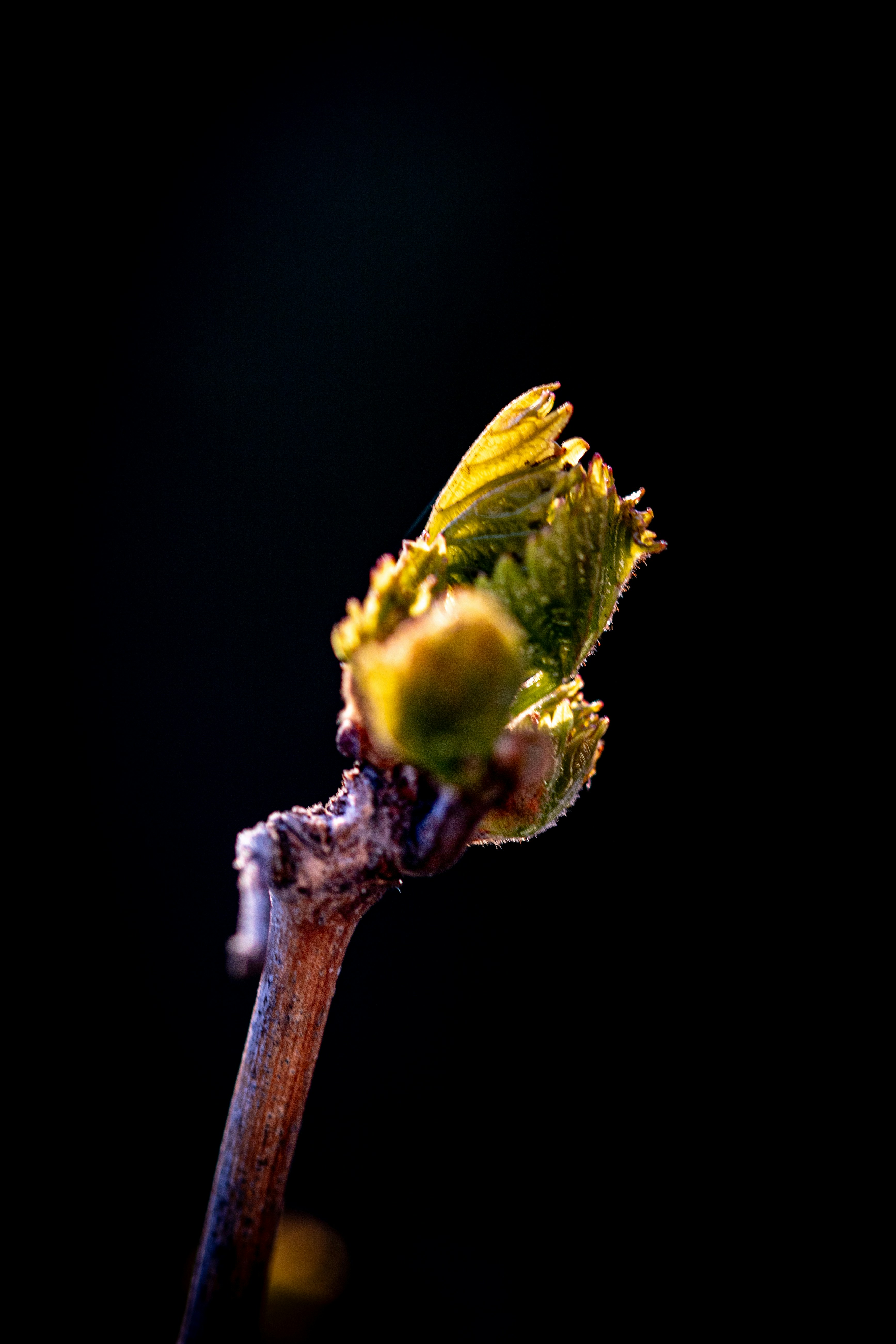Photo by hdbernd