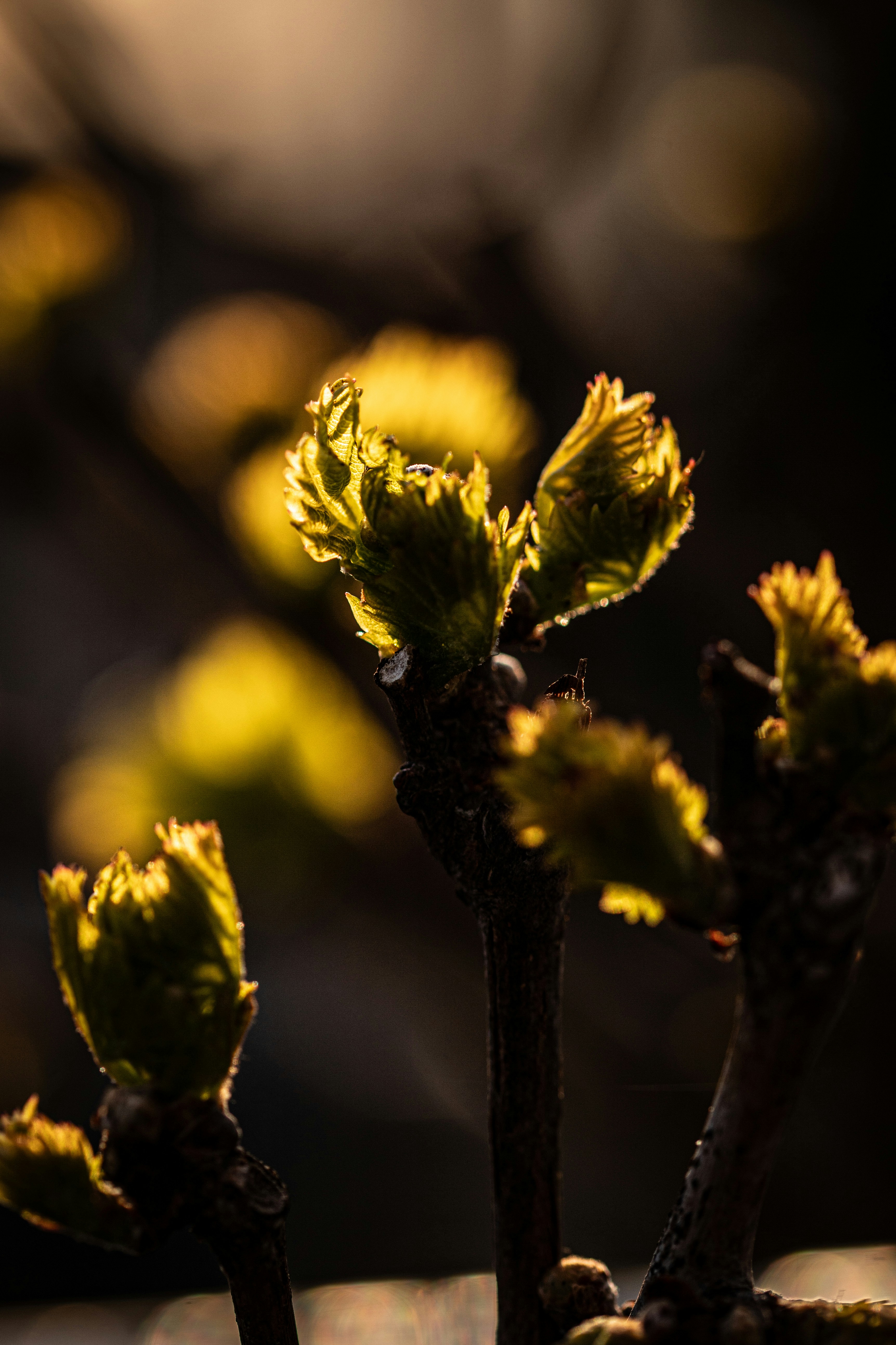 Photo by hdbernd