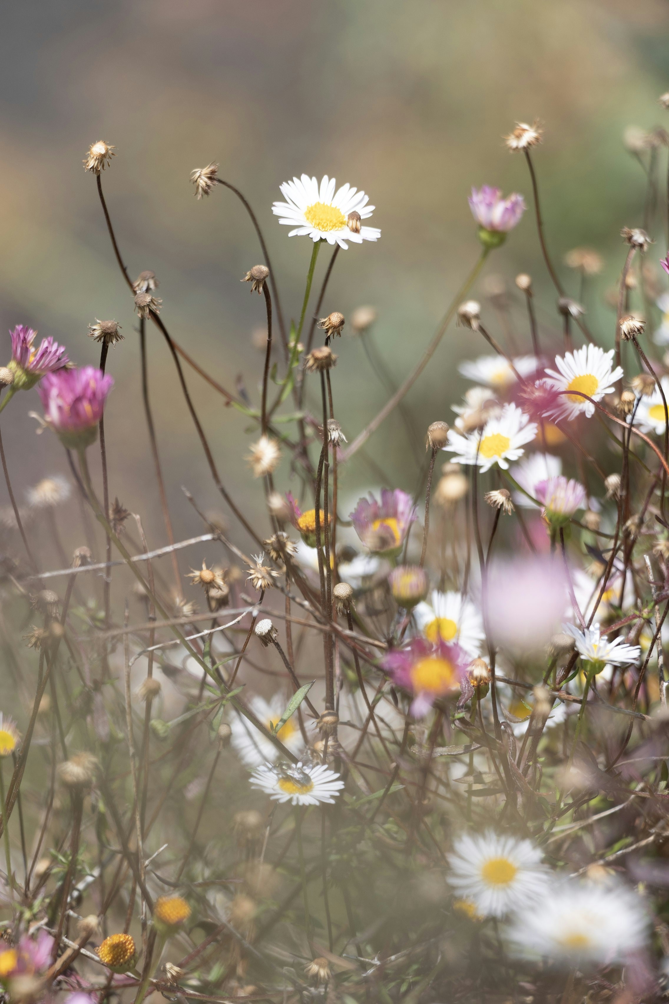 Photo by kiaramartin