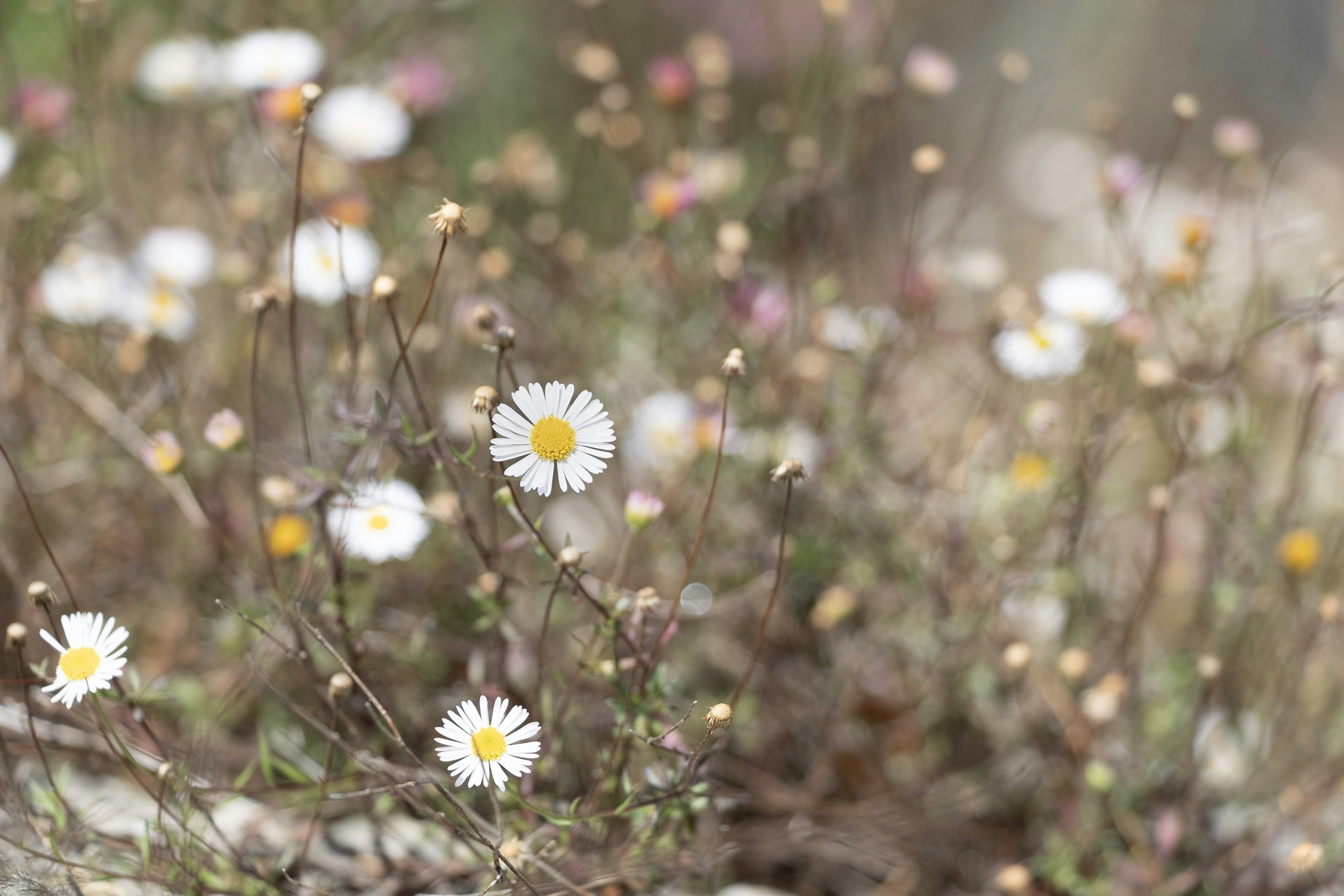 Photo by kiaramartin