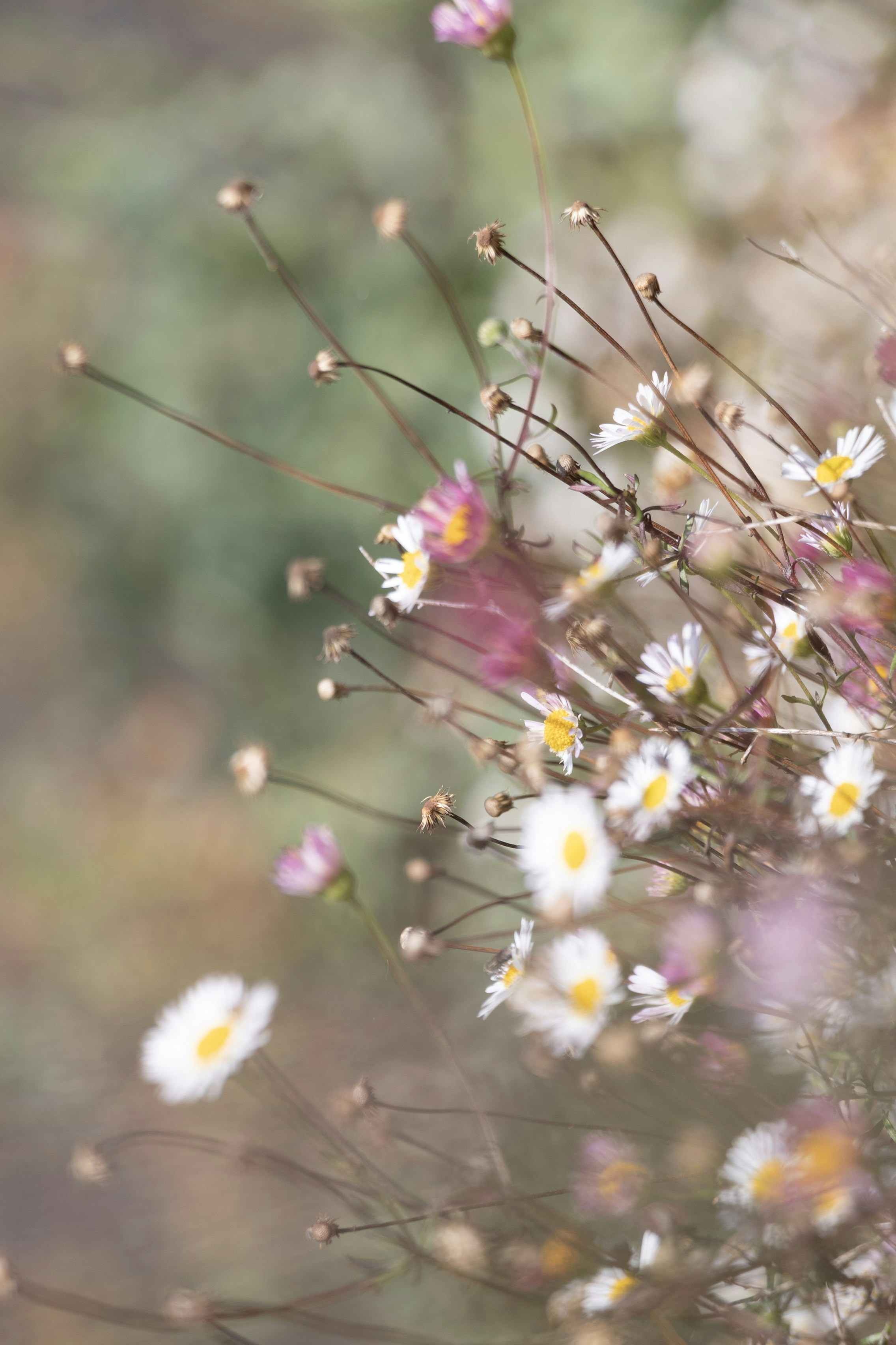 Photo by kiaramartin