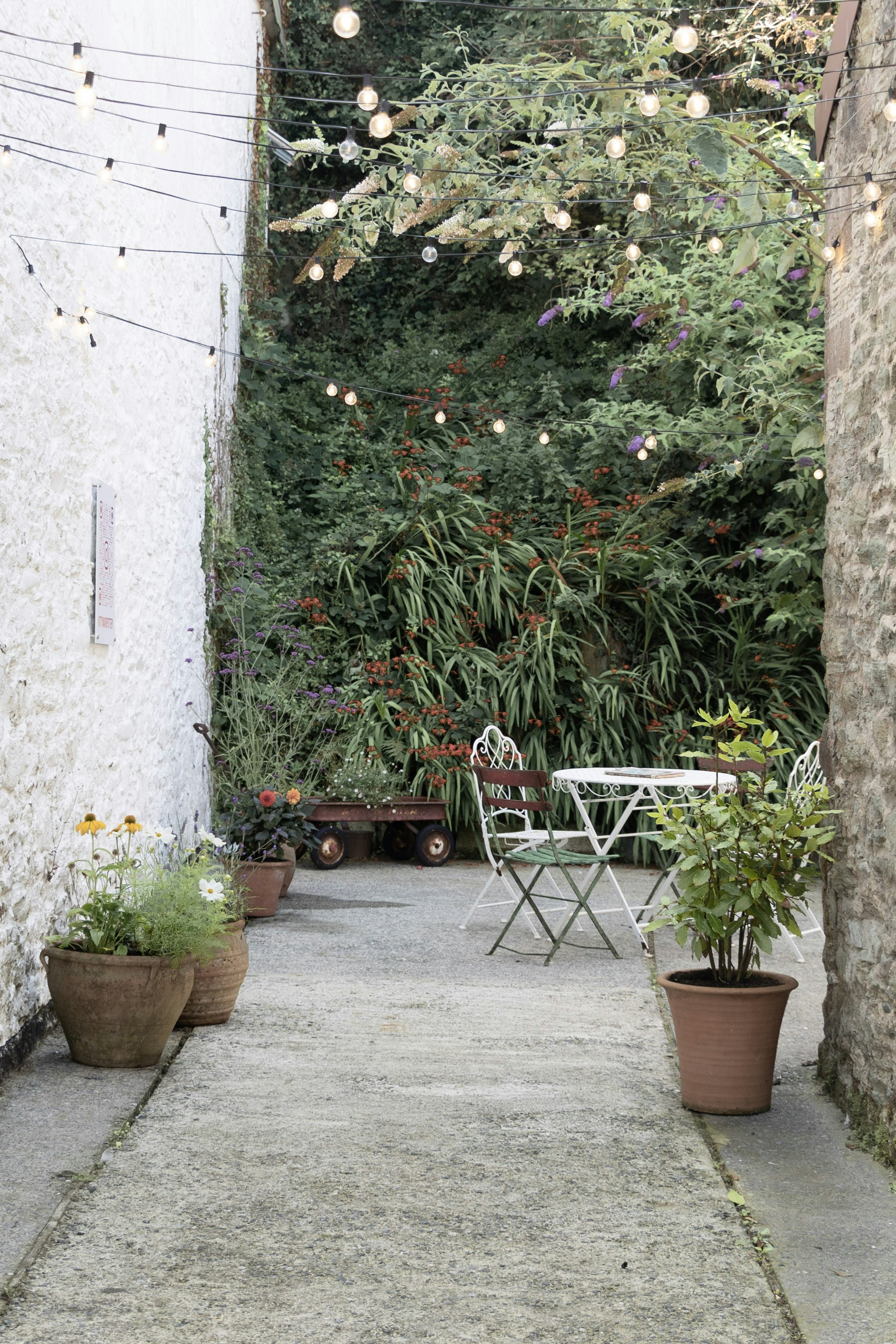 Photo by kiaramartin