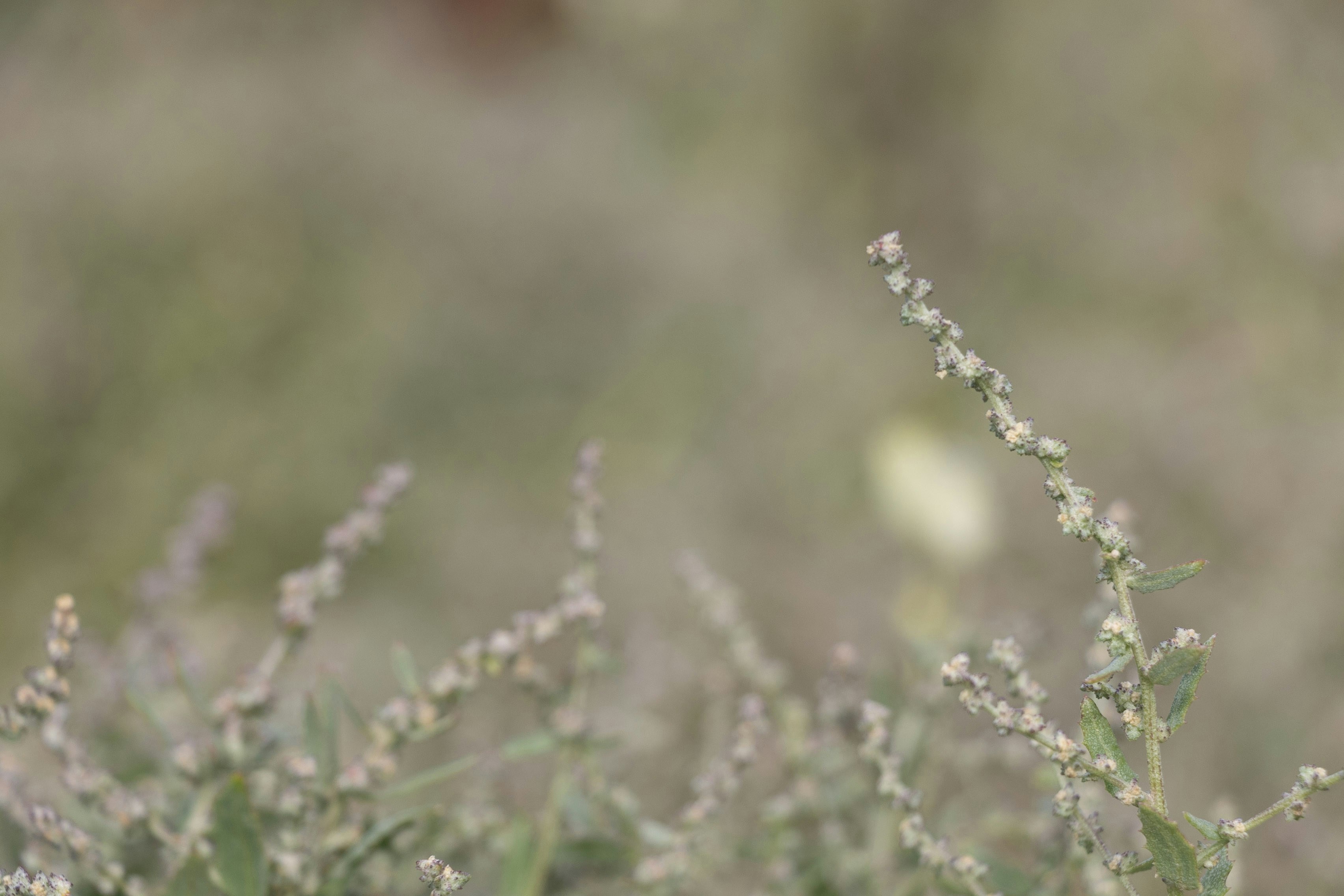 Photo by kiaramartin