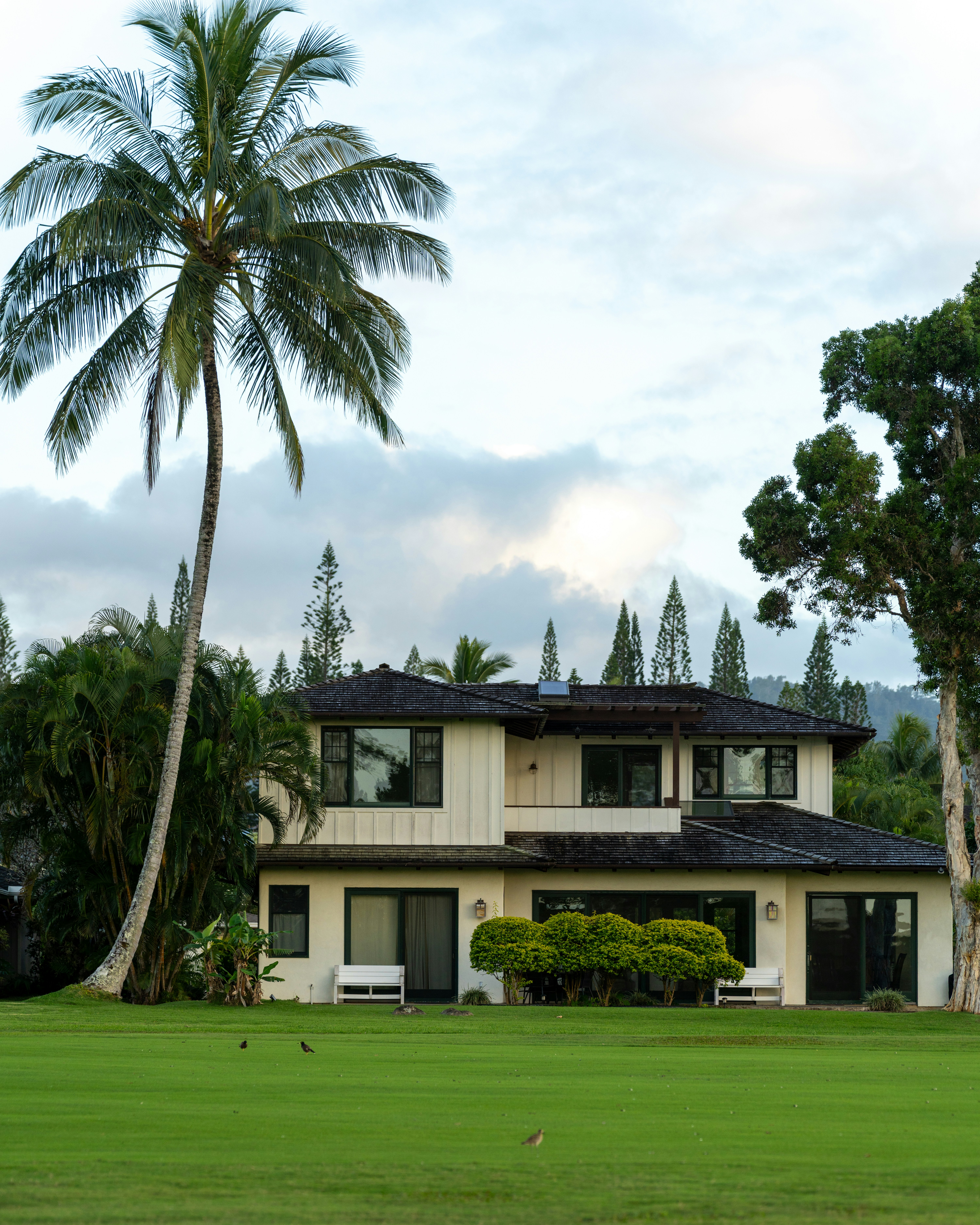 Una grande casa con una palma davanti