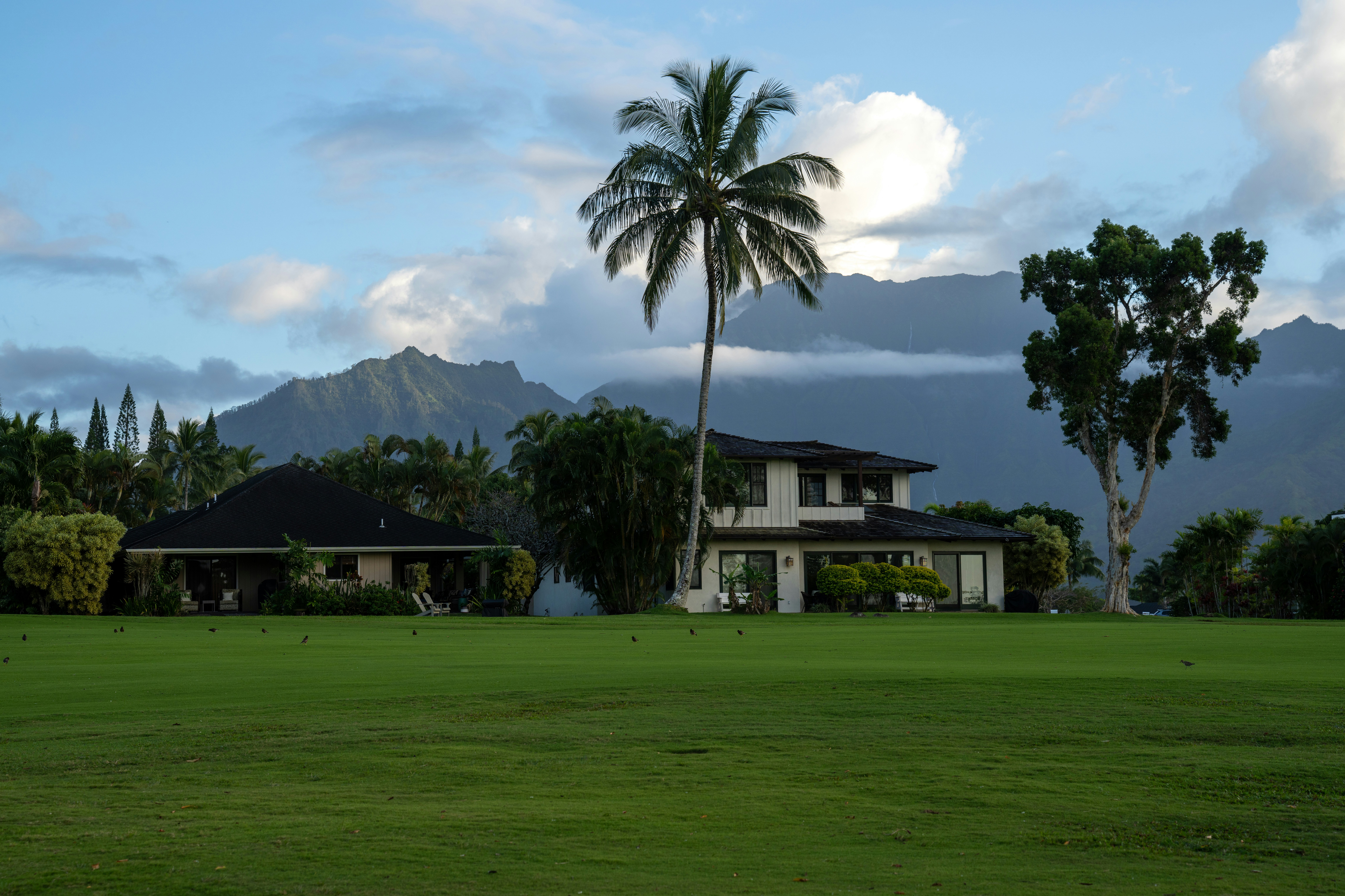 Two houses with a palm tree in front of mountains.