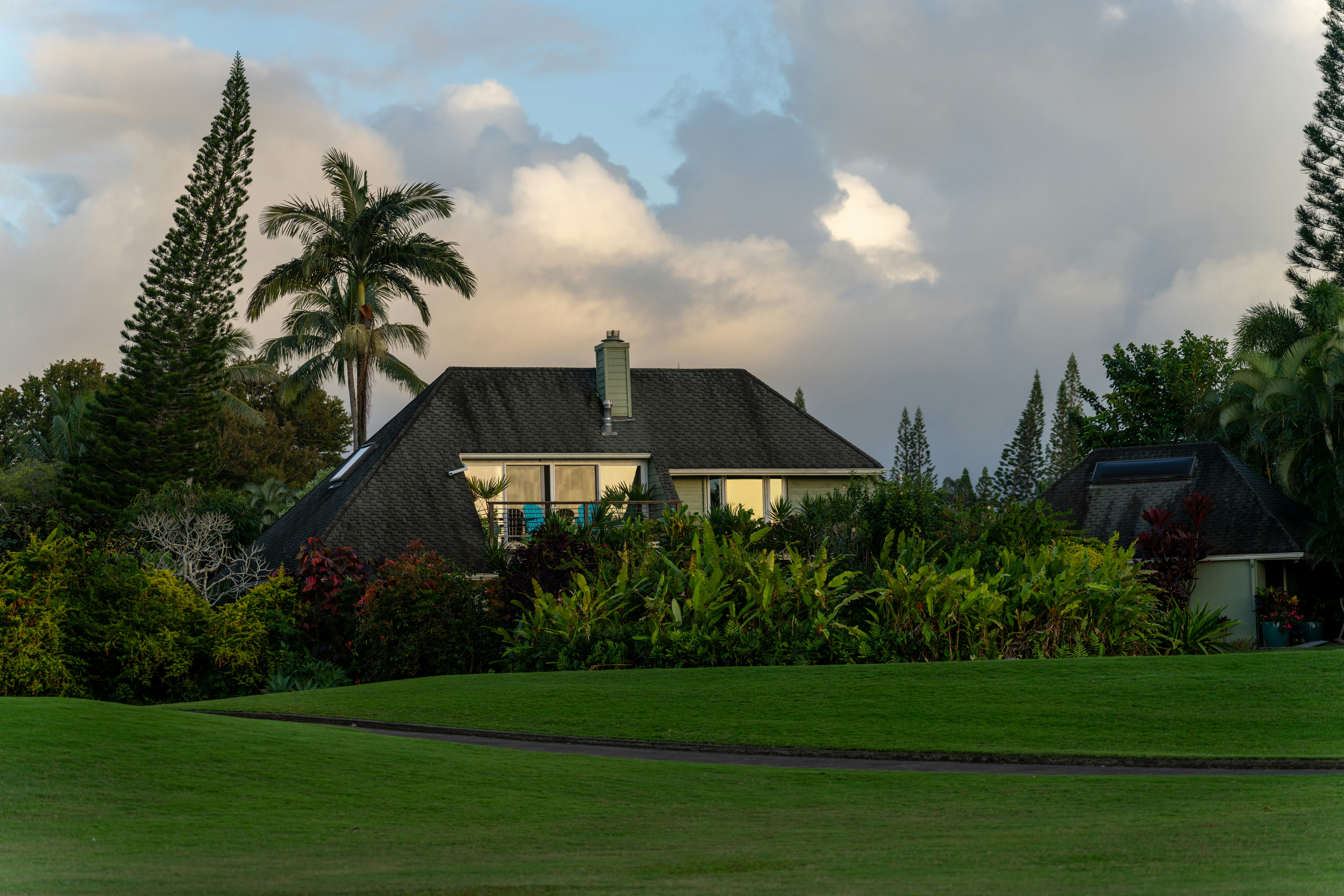 Una casa circondata da folta vegetazione tropicale e palme.
