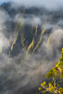 Misty mountains with green slopes and trees