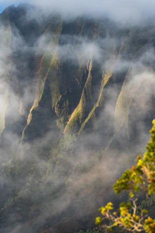 Misty mountains with green slopes and trees
