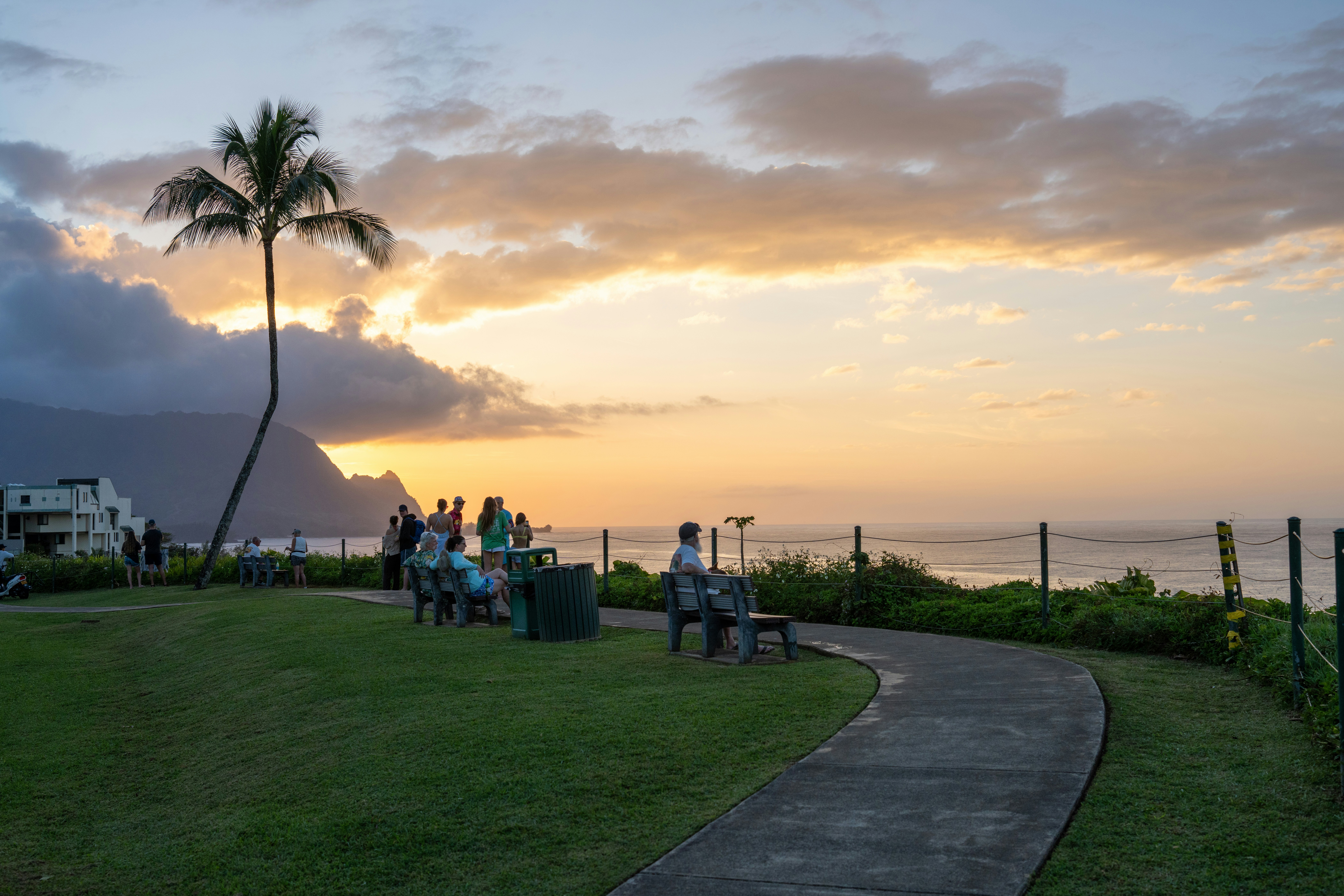 La gente guarda il tramonto sull'oceano con le palme.