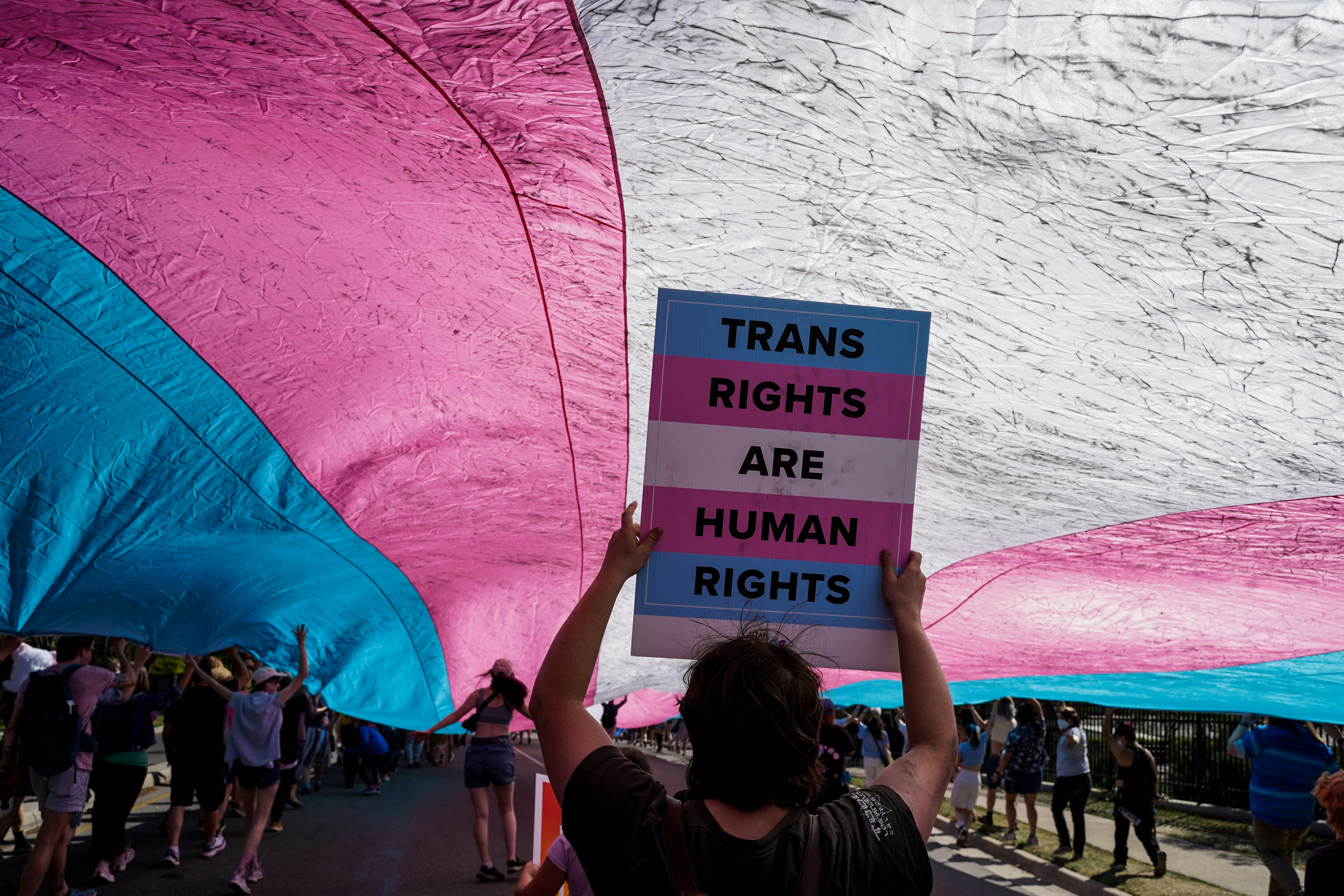 Person holding sign, "trans rights are human rights."