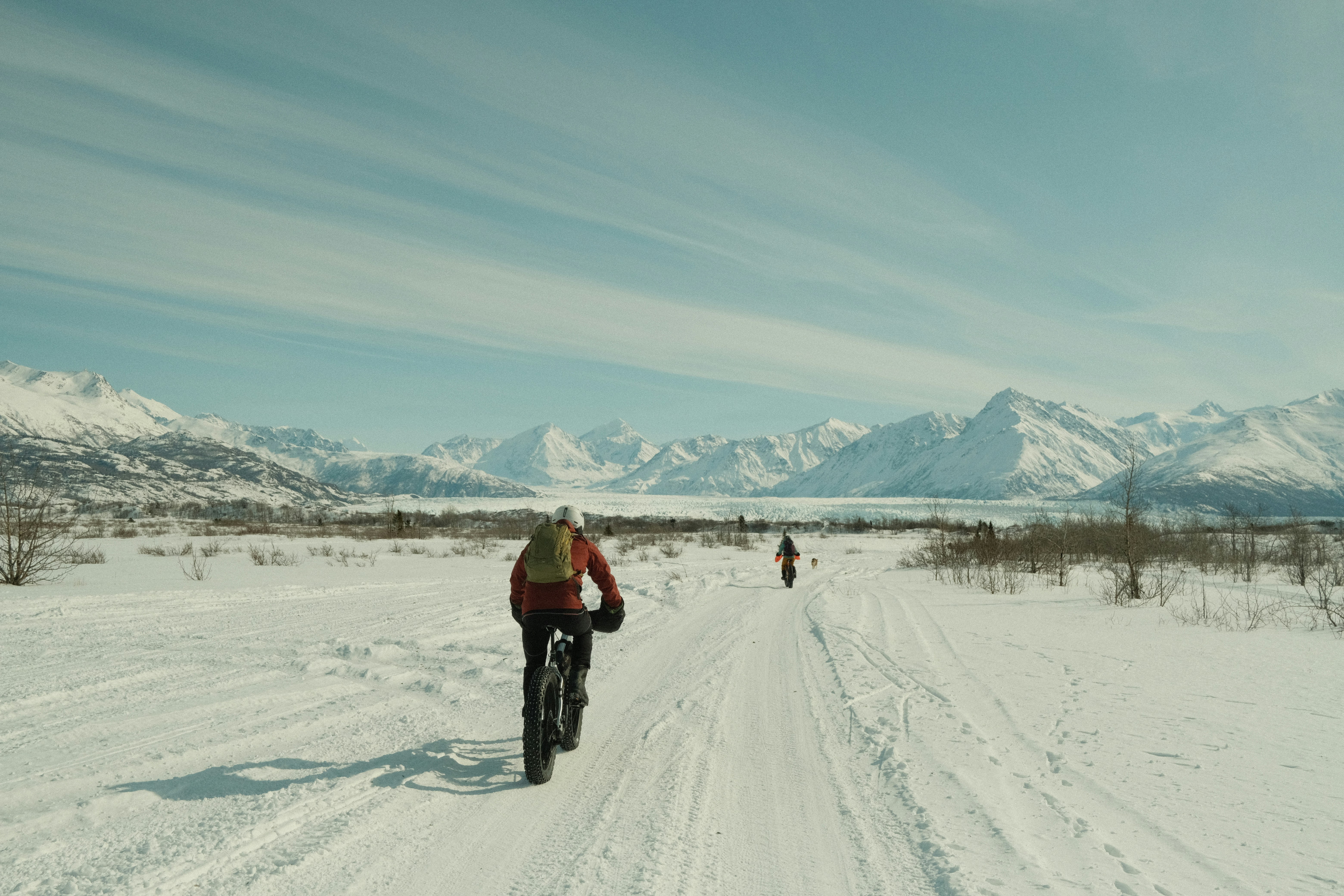 Exploring the Digital Marketplace: Maximizing Commercial Directory Benefits