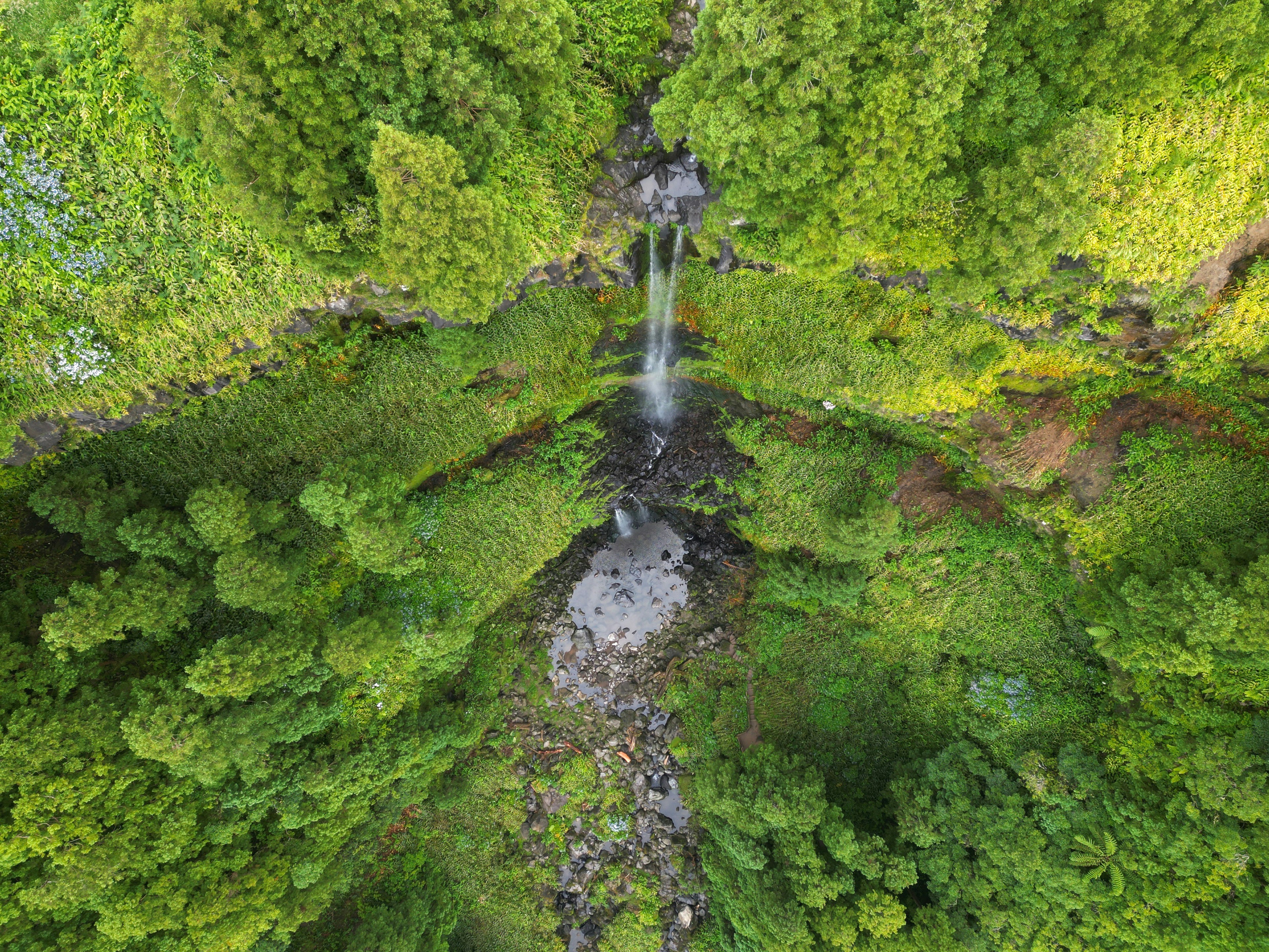 Photo by laszlooveges