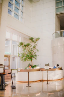 Modern reception desk with a tree and people