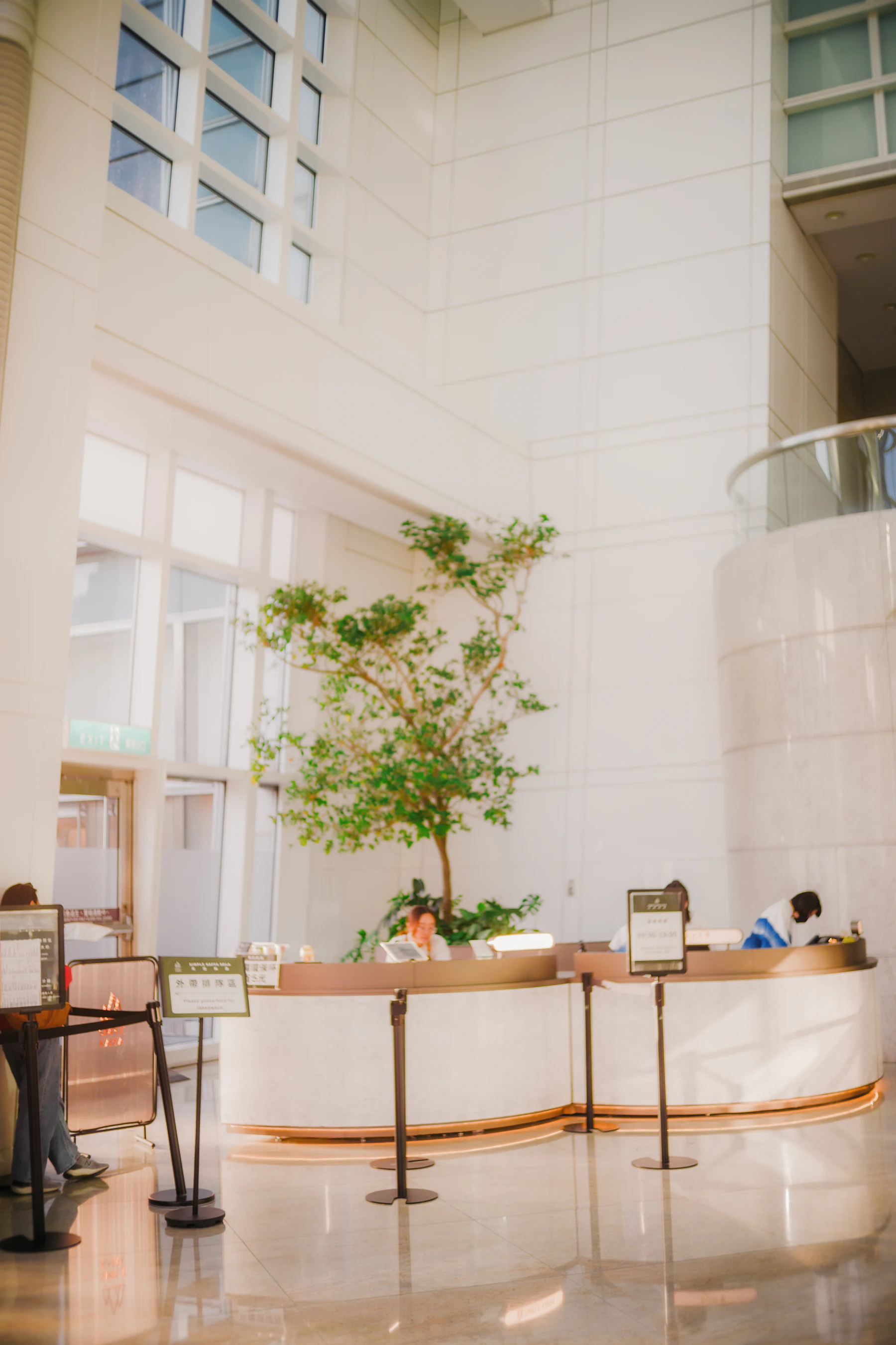 Communal Area Cleaning service in London