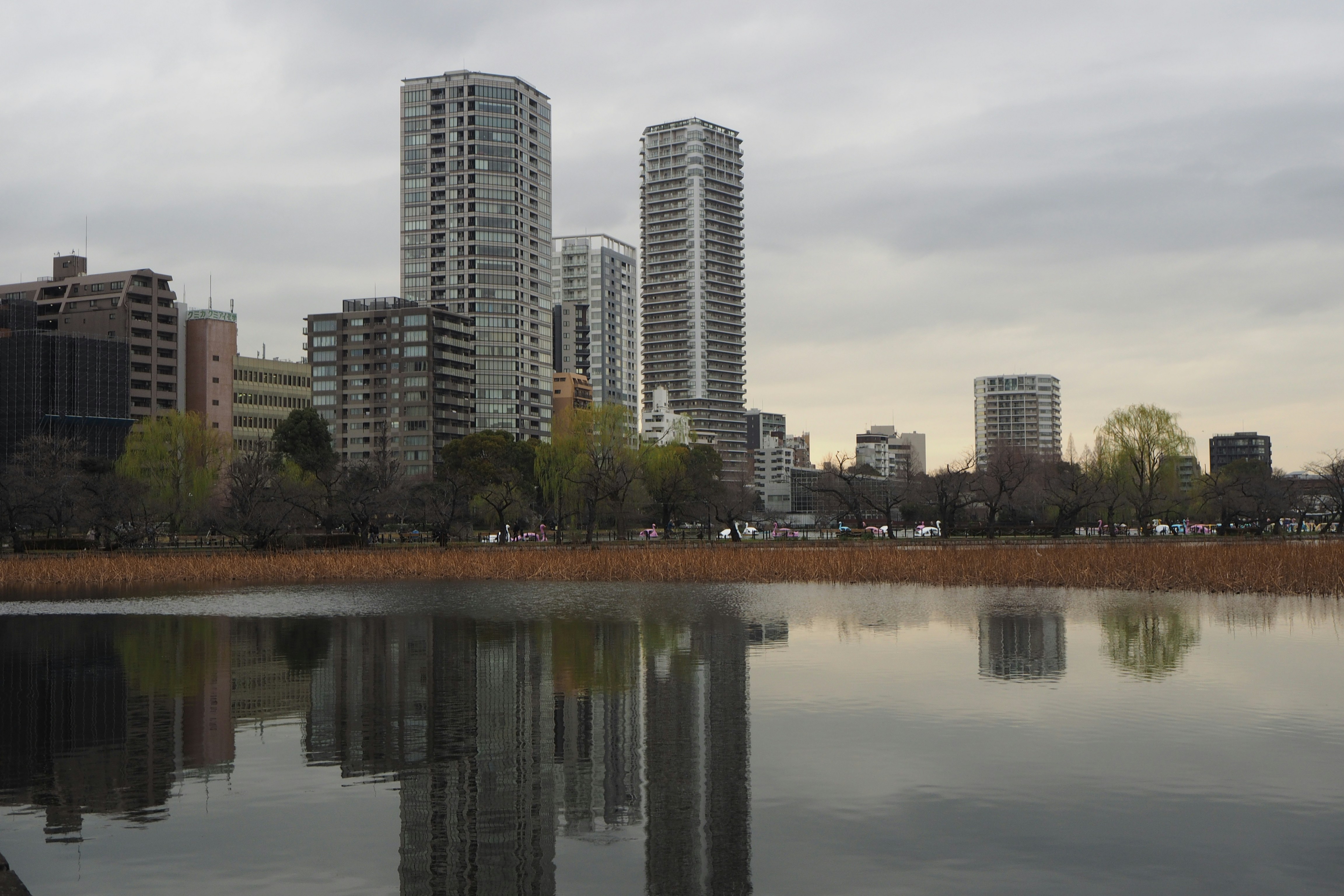 Photo by insighted